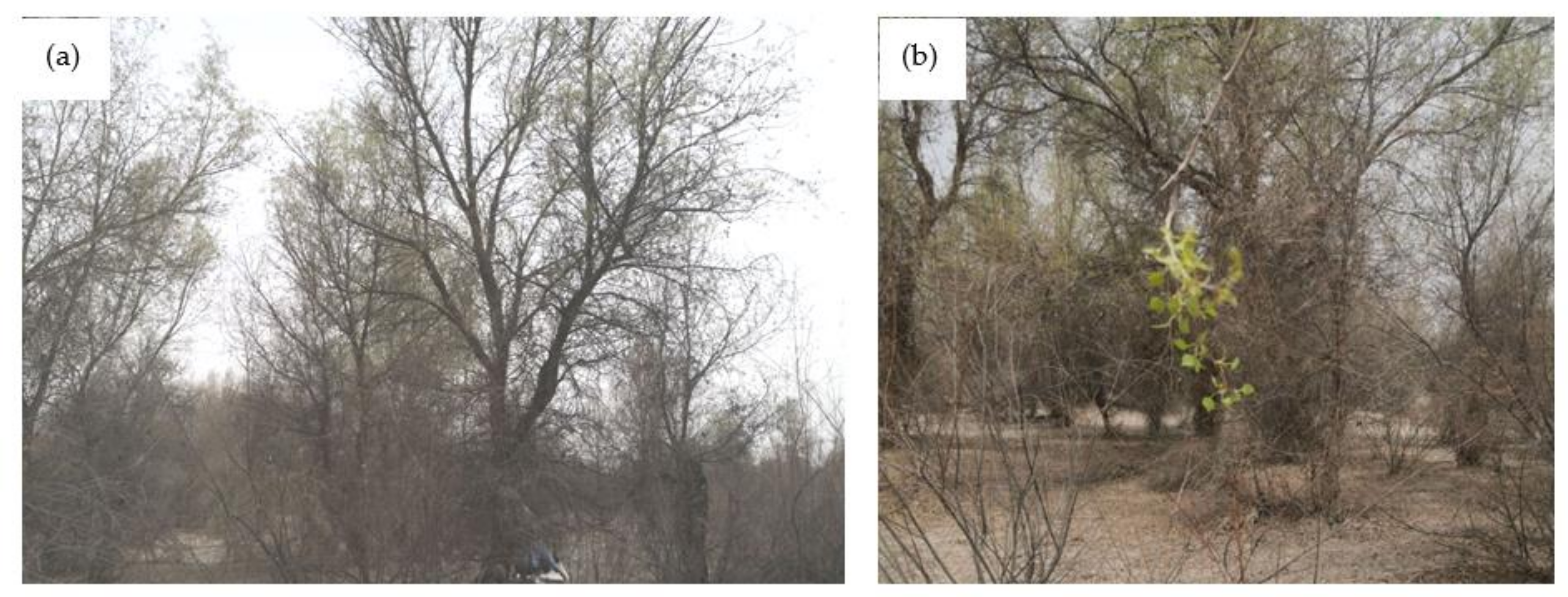 Remotesensing 13 02345 g002 Remotesensing 13 02345 g002