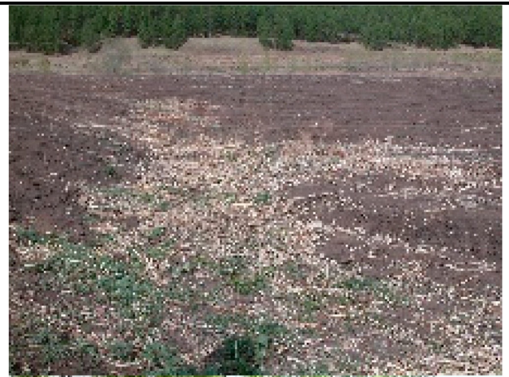 Remotesensing 13 02367 i001