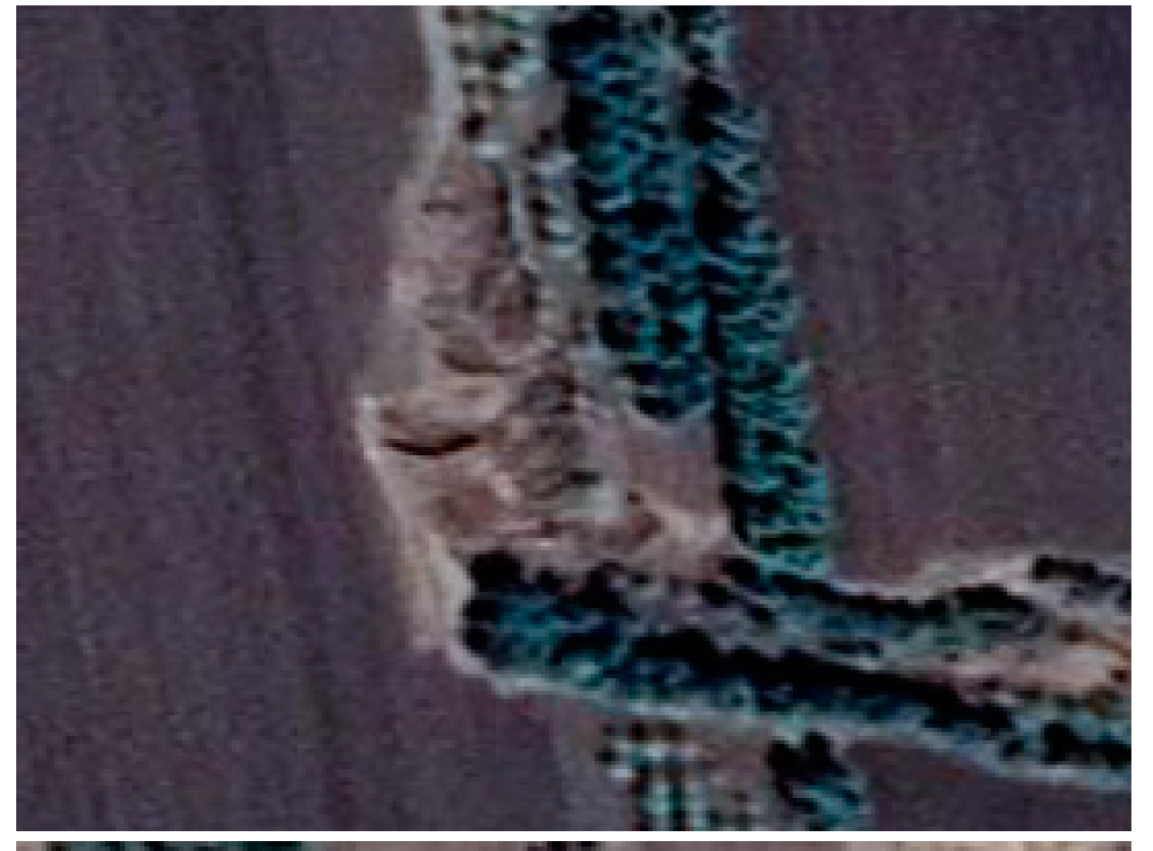 Remotesensing 13 02367 i006