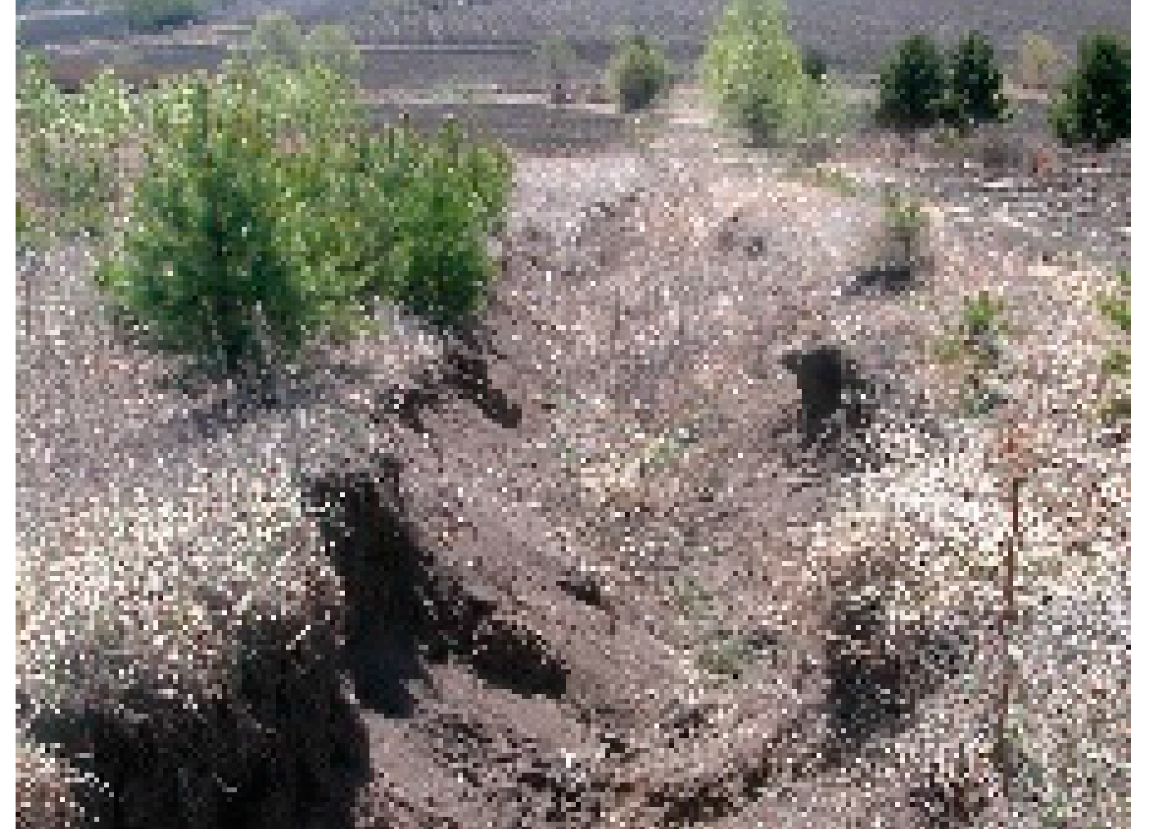 Remotesensing 13 02367 i007