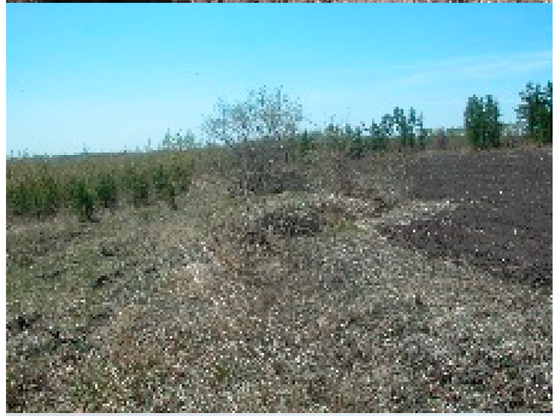 Remotesensing 13 02367 i009