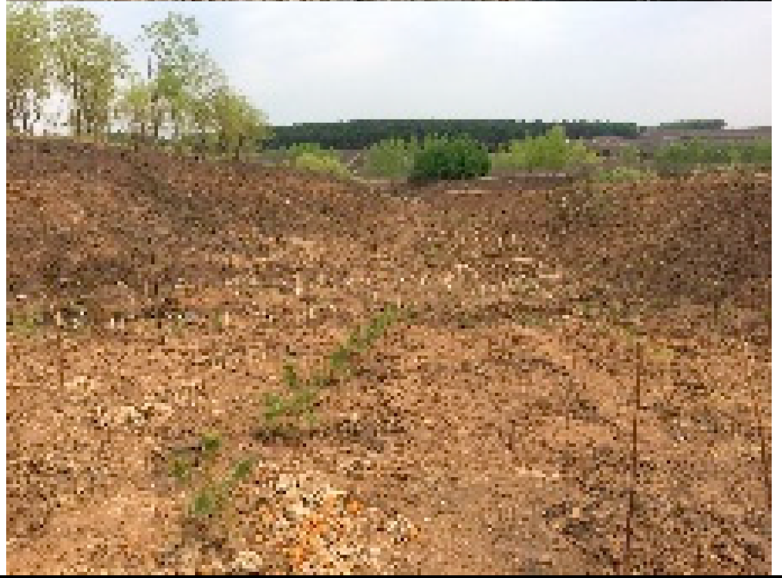 Remotesensing 13 02367 i013