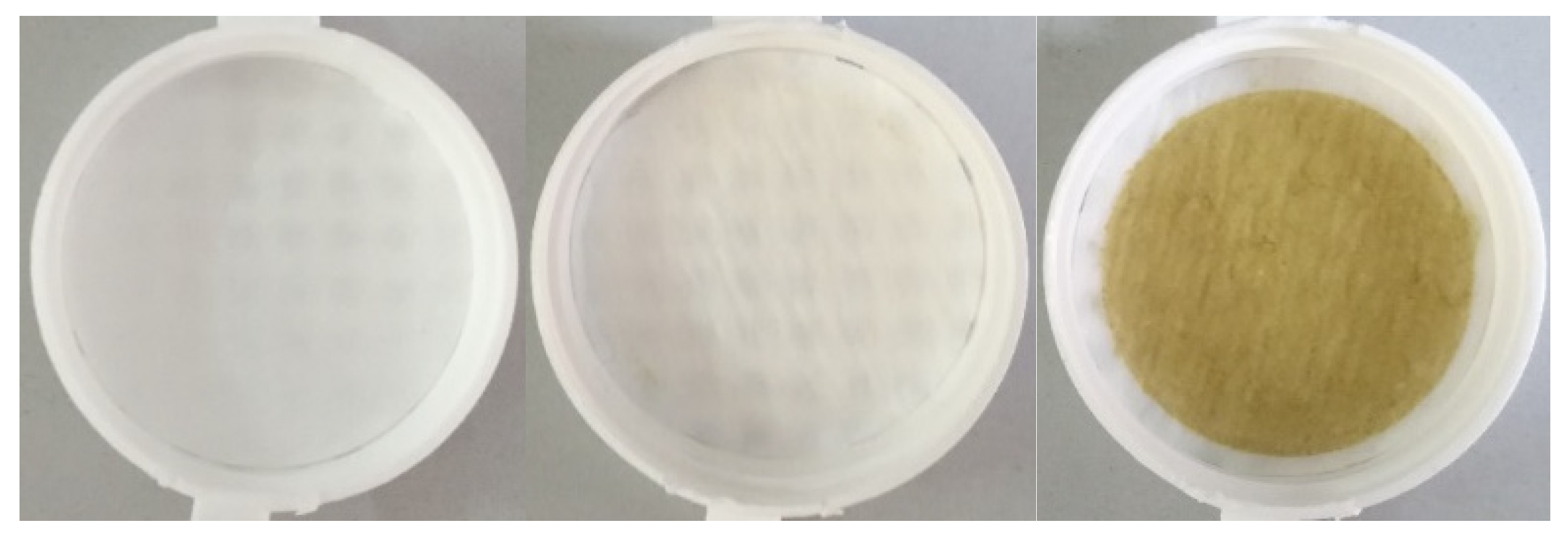 Remotesensing 13 02390 g012