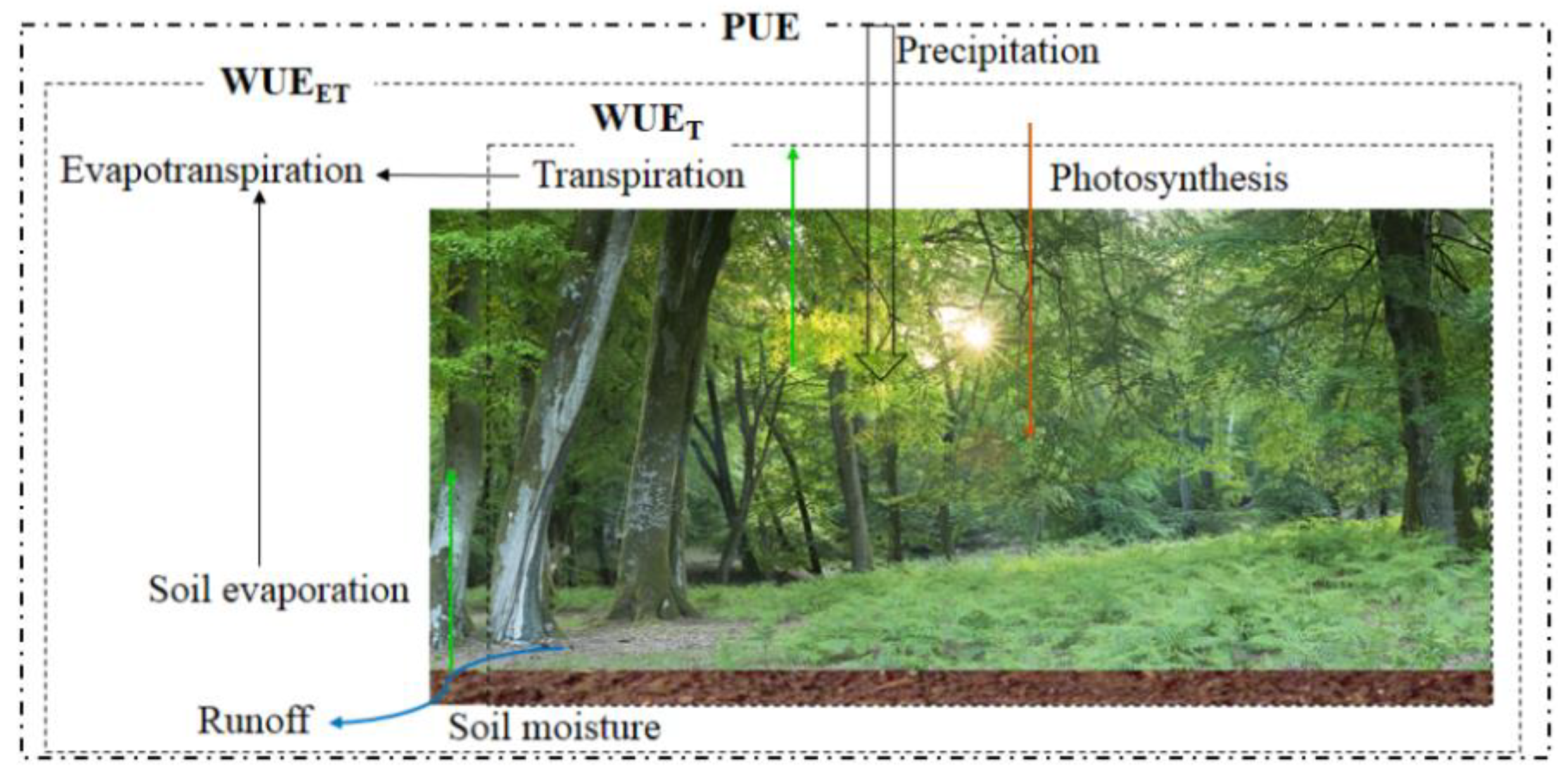 Remotesensing 13 02393 g002