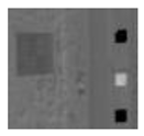 Remotesensing 13 02465 i001
