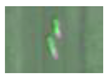 Remotesensing 13 02465 i008