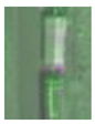 Remotesensing 13 02465 i011