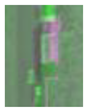 Remotesensing 13 02465 i019