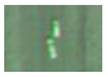 Remotesensing 13 02465 i020