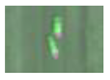 Remotesensing 13 02465 i028