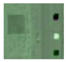 Remotesensing 13 02465 i033