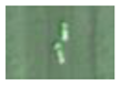 Remotesensing 13 02465 i036