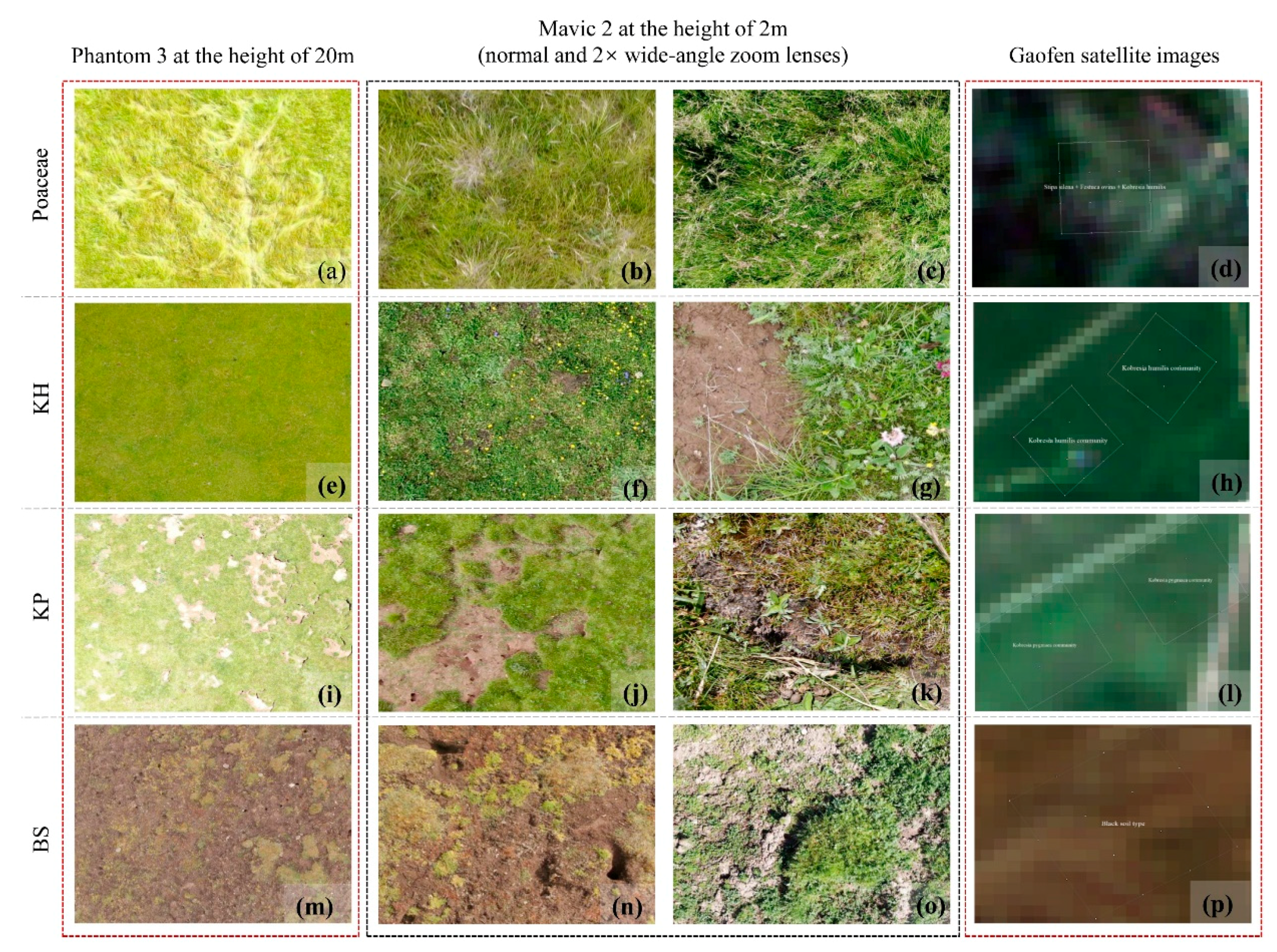 Remotesensing 13 02483 g003