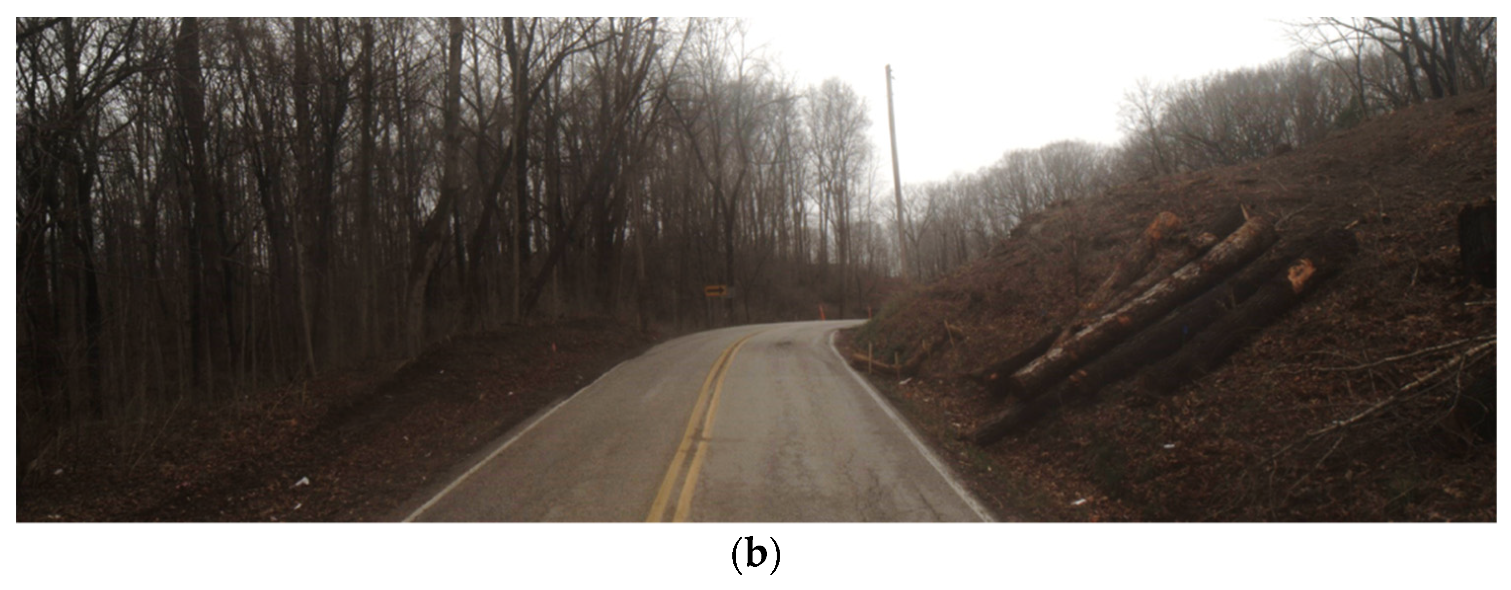 Remotesensing 13 02485 g002b