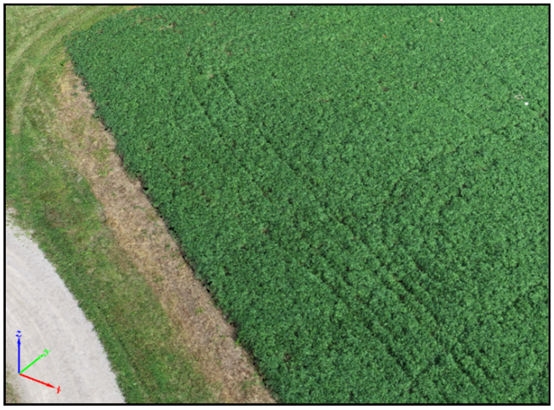 Remotesensing 13 02487 g006