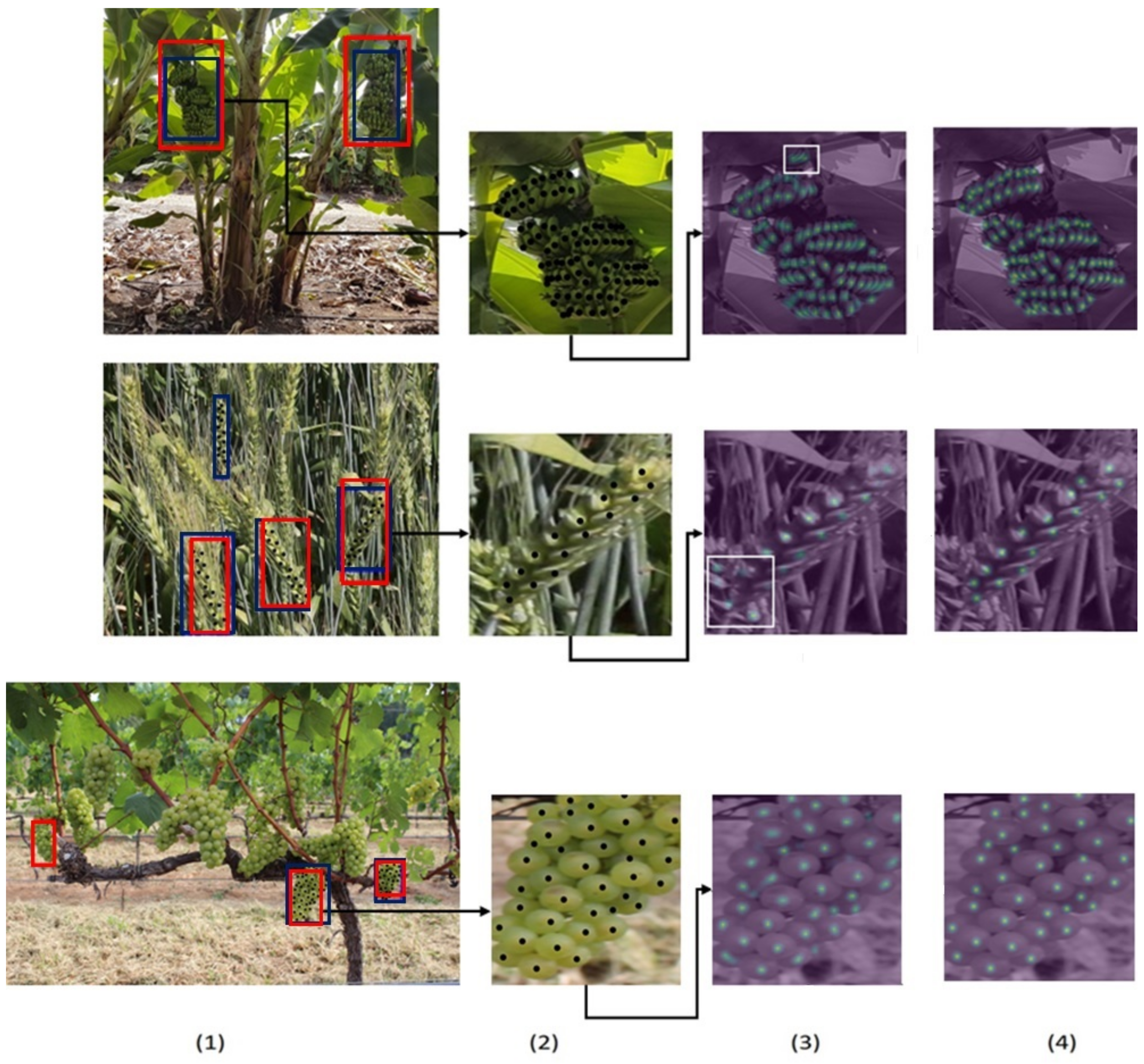 Remotesensing 13 02496 g004