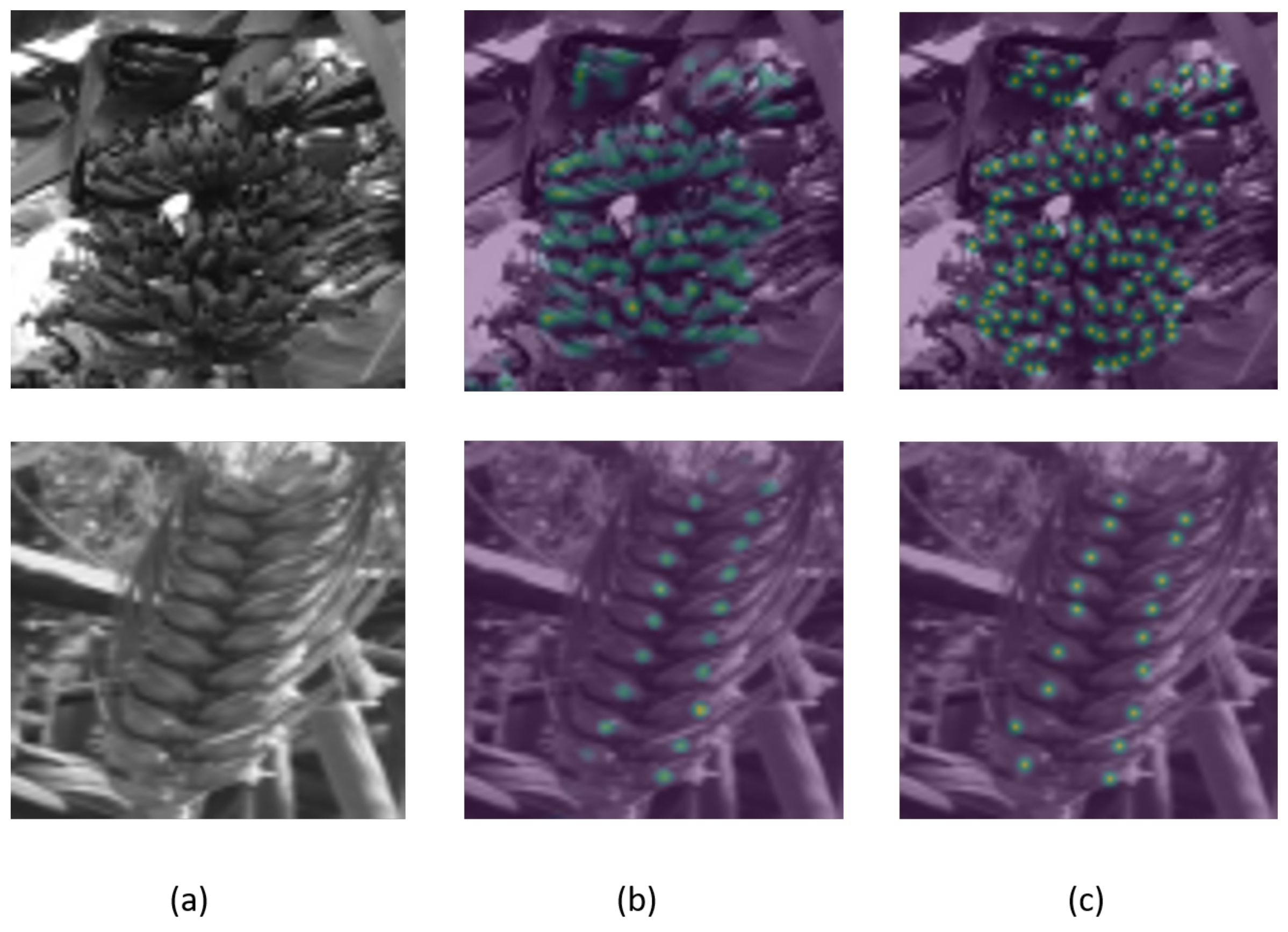 Remotesensing 13 02496 g007