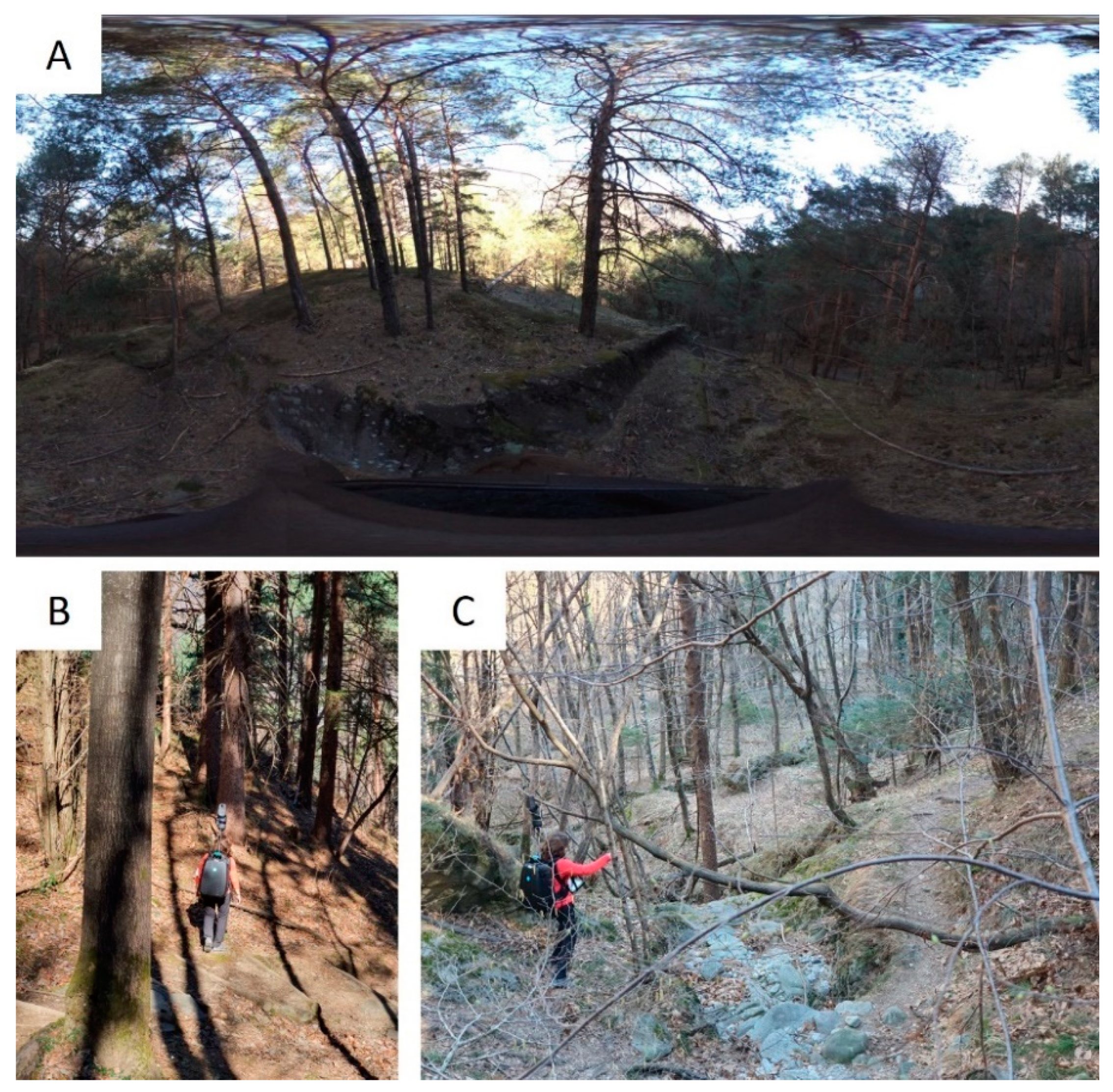 Remotesensing 13 02504 g007