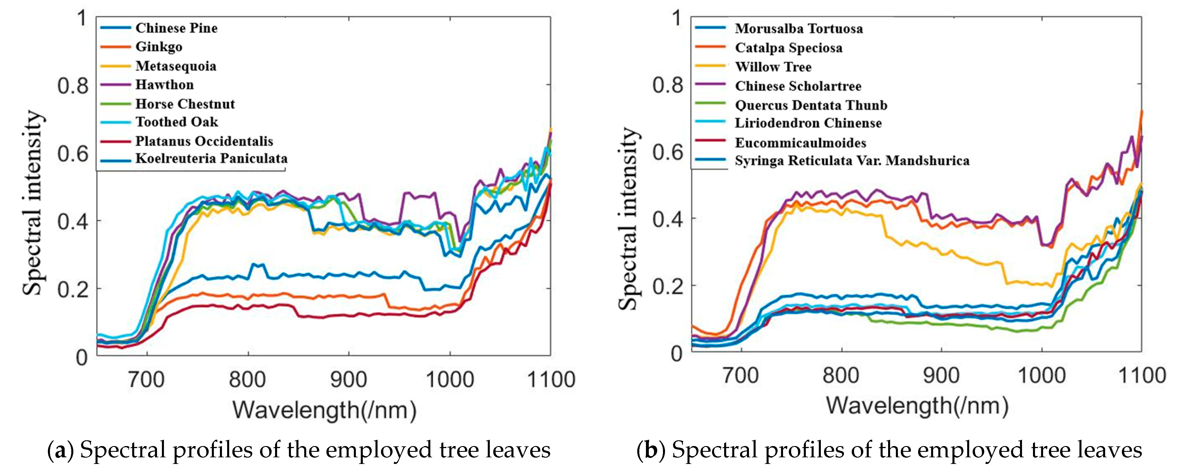 Remotesensing 13 02521 g011