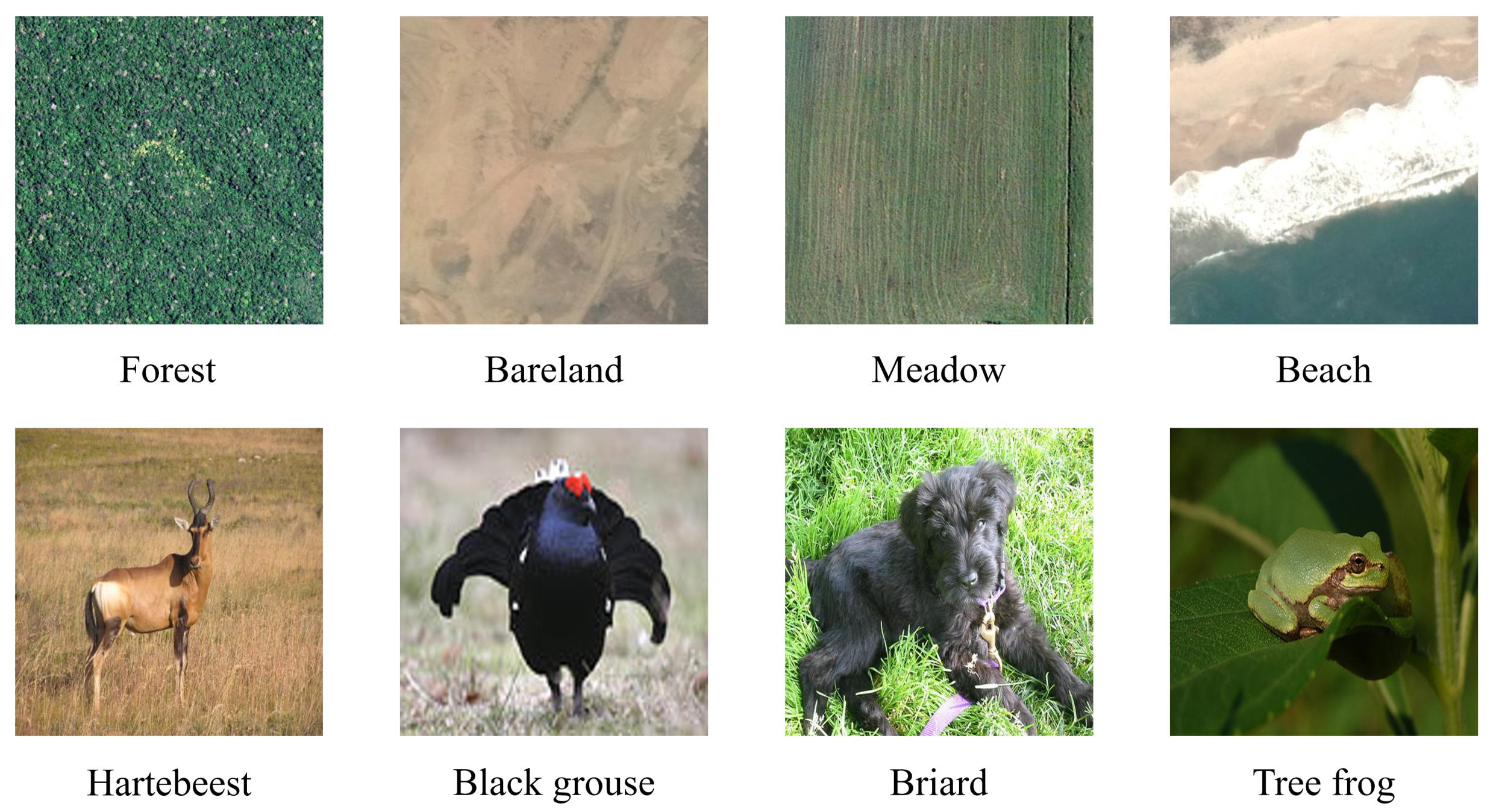 Remotesensing 13 02532 g001