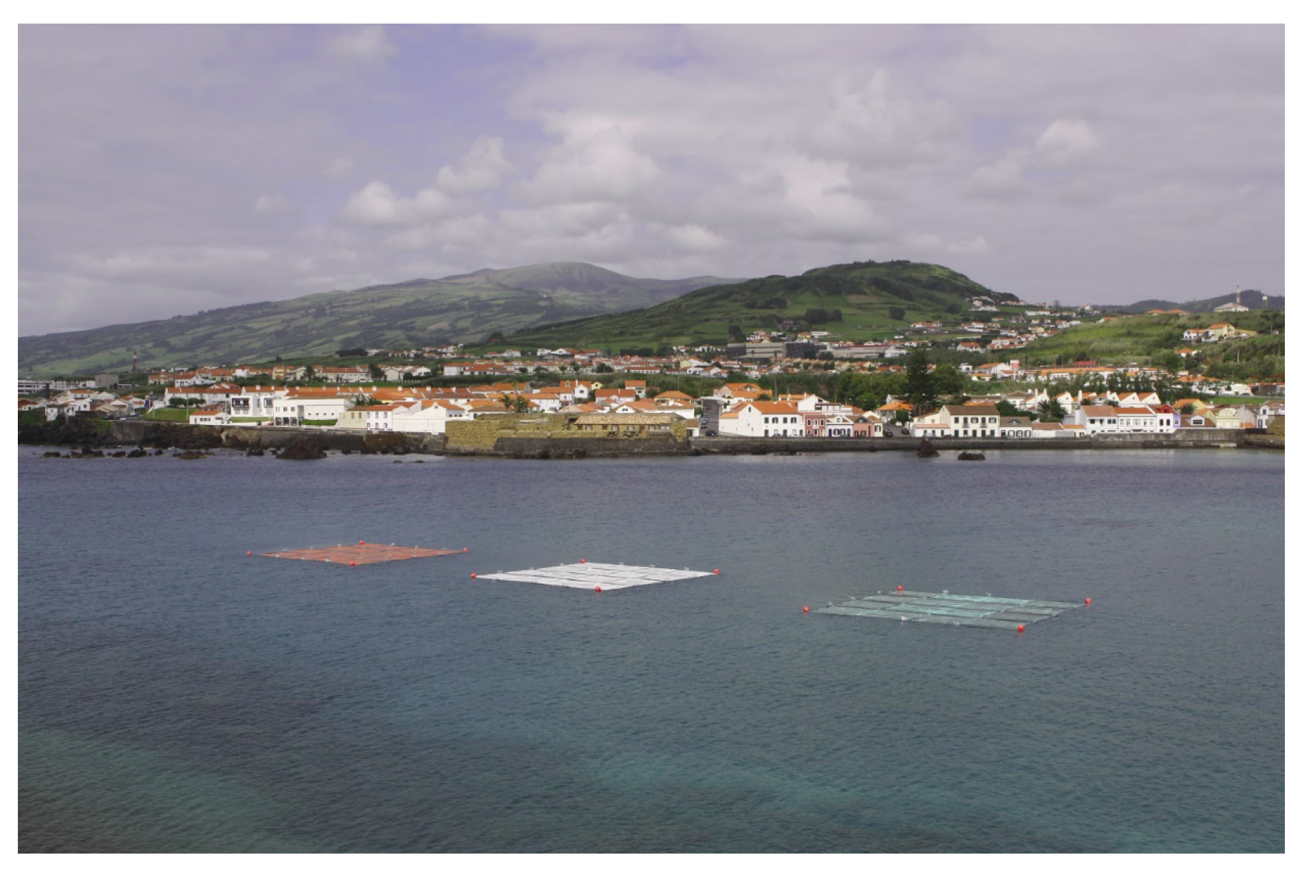 Remotesensing 13 02536 g008