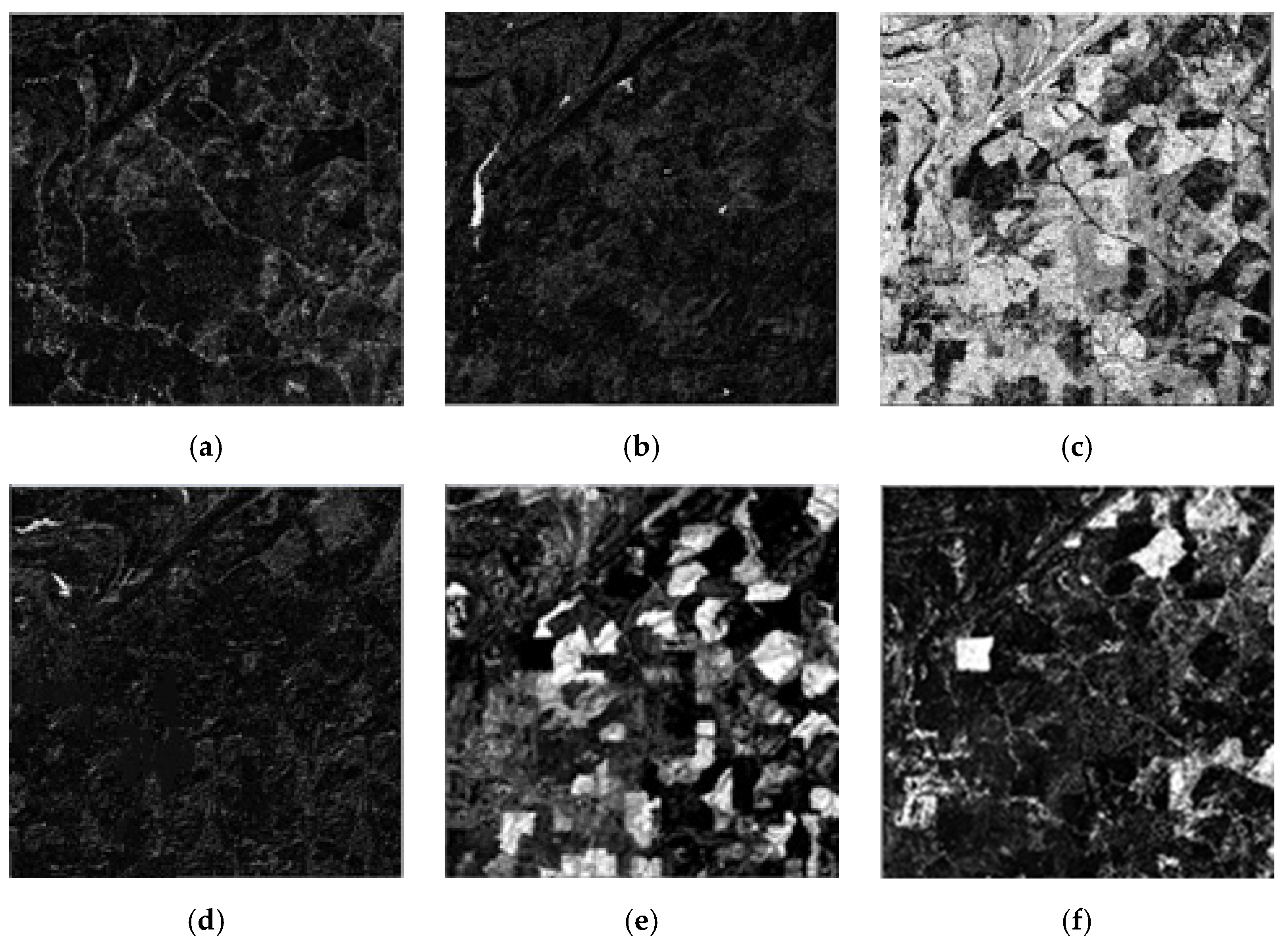 Remotesensing 13 02550 g011