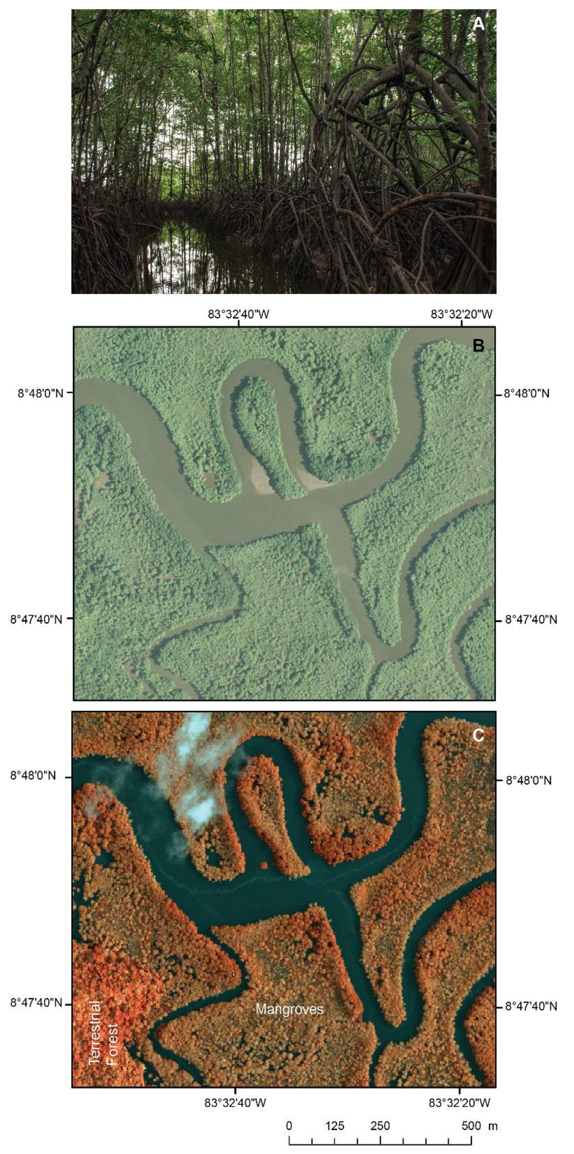 Remotesensing 13 02604 g002