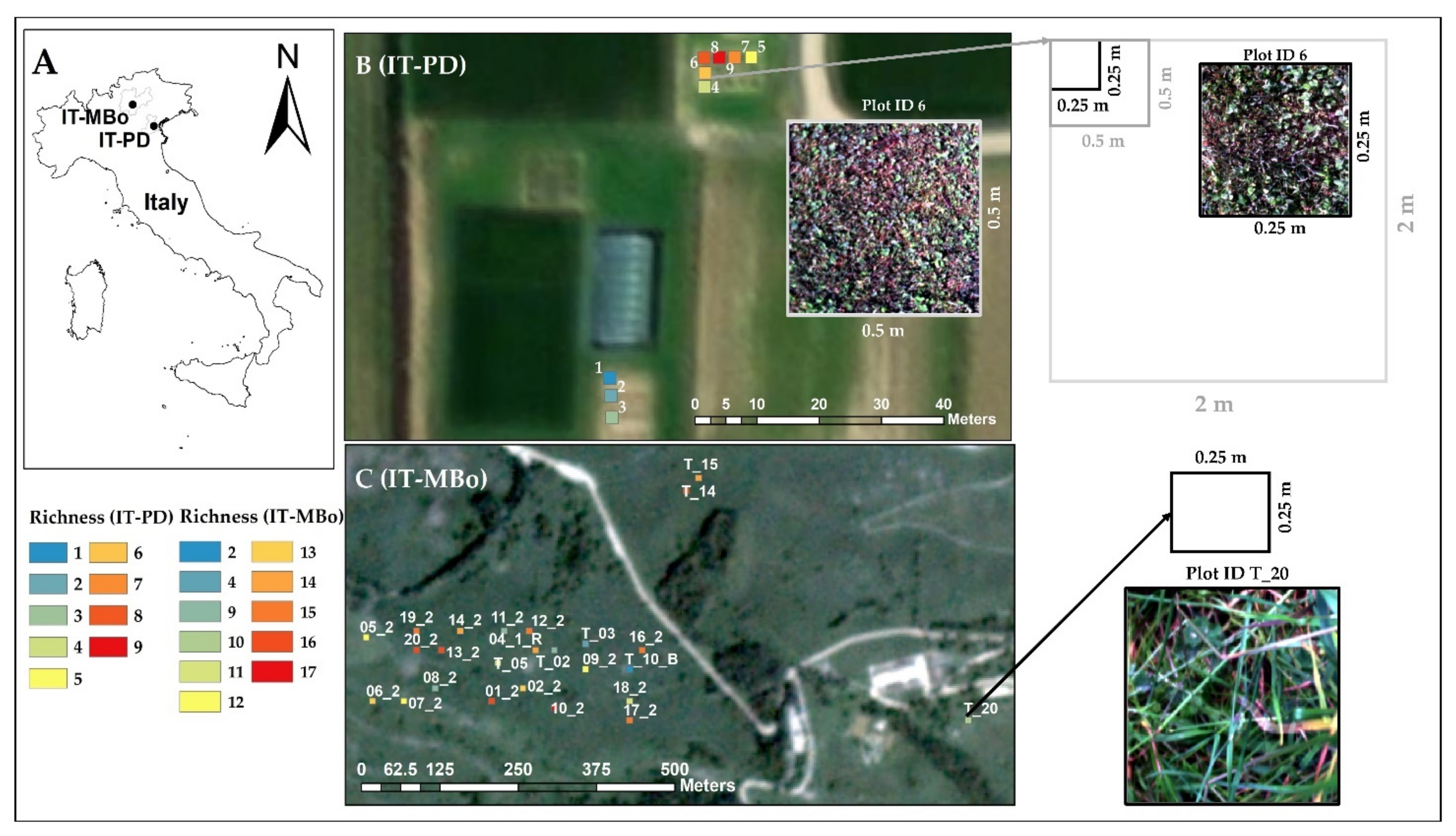 Remotesensing 13 02649 g001