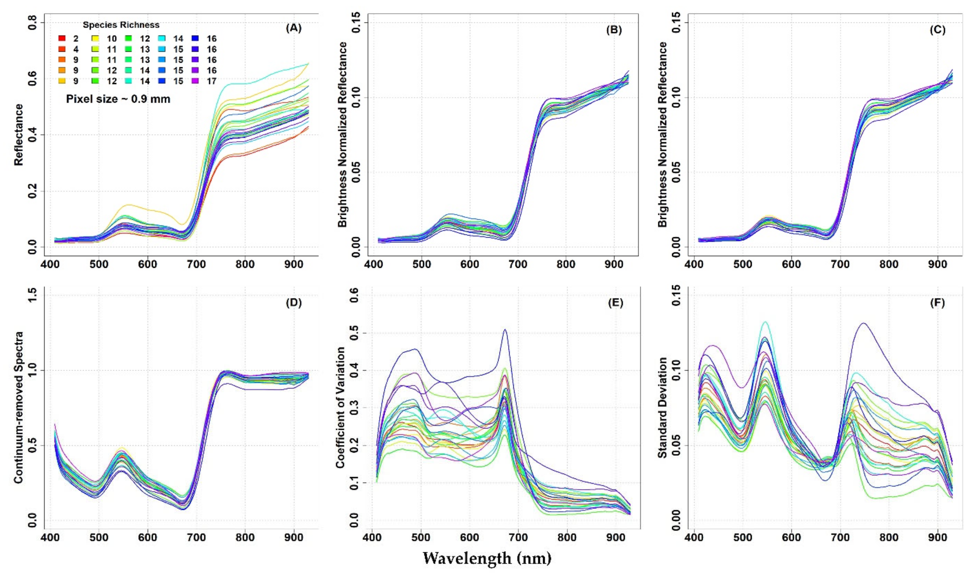Remotesensing 13 02649 g004
