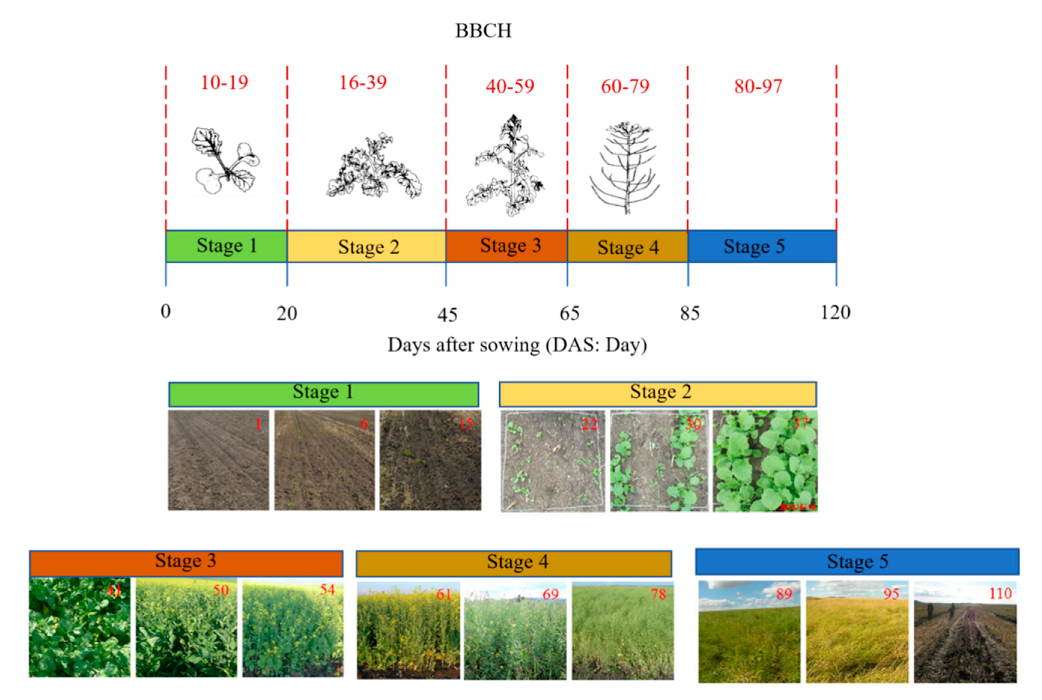 Remotesensing 13 02652 g002