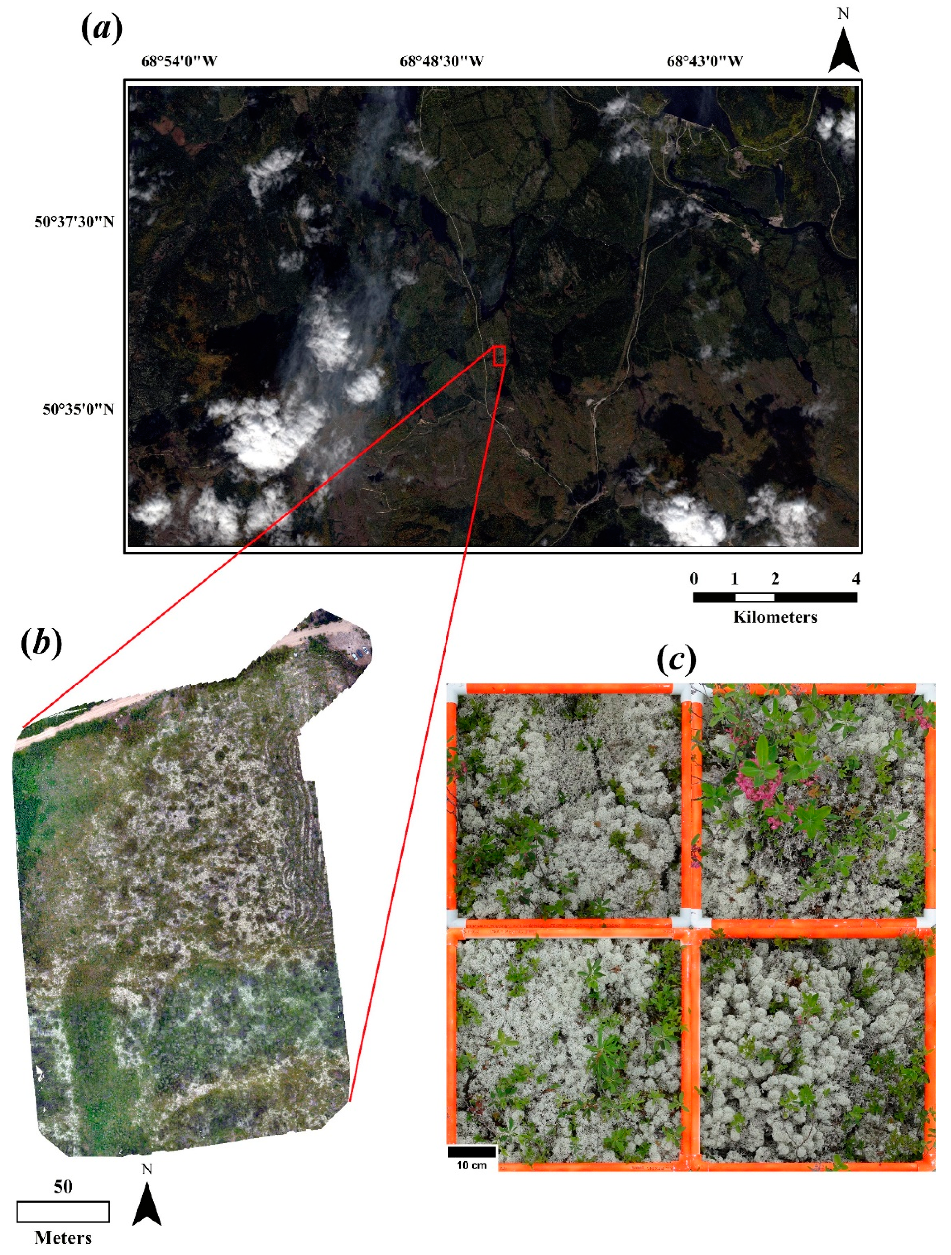 Remotesensing 13 02658 g001 Remotesensing 13 02658 g001