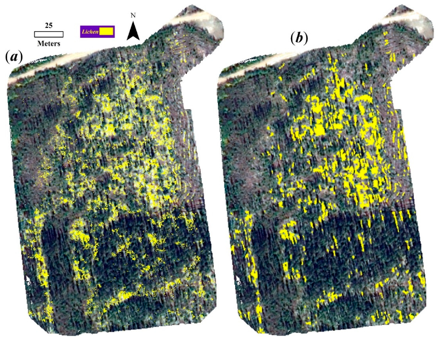 Remotesensing 13 02658 g005 Remotesensing 13 02658 g005