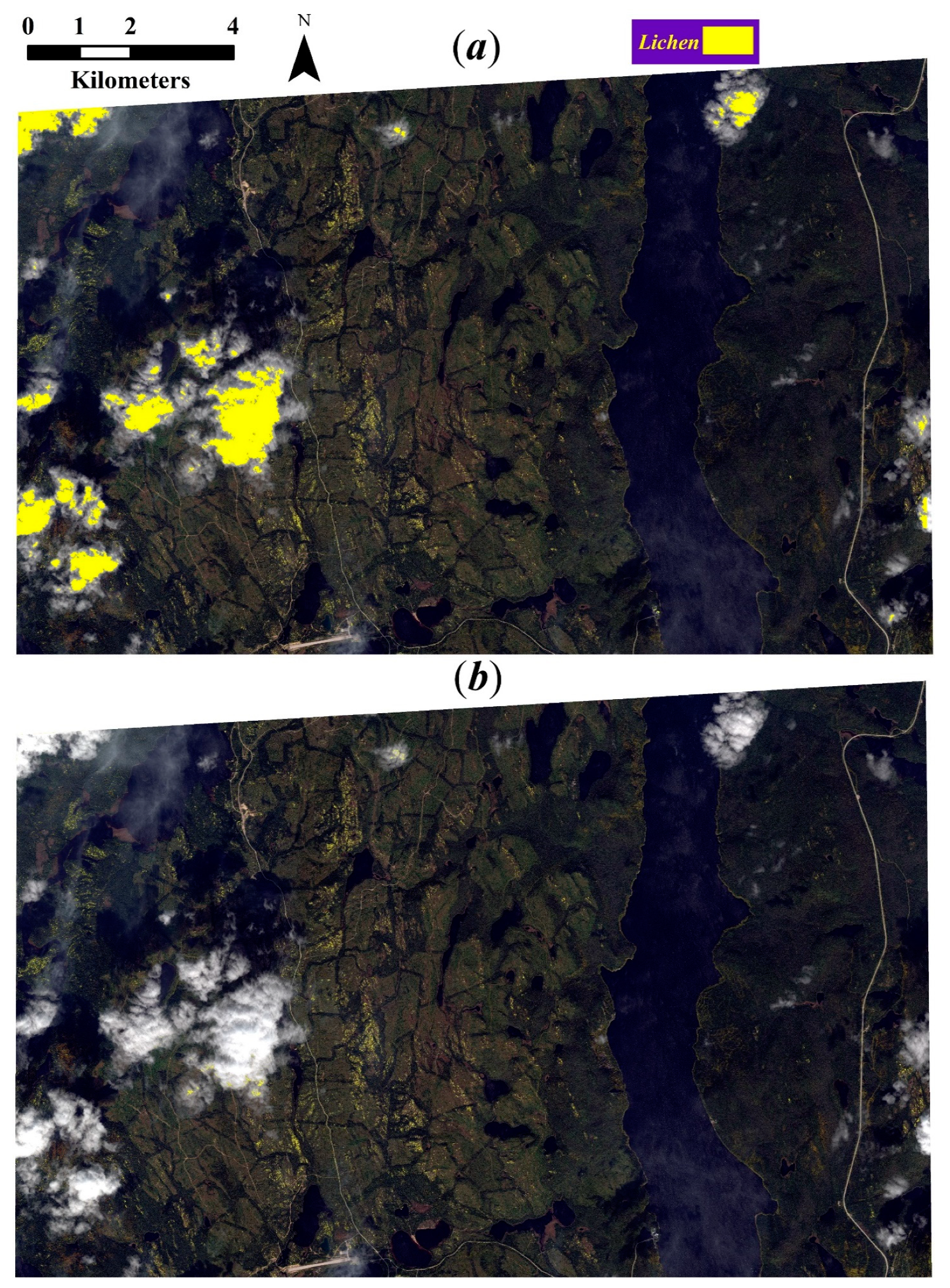 Remotesensing 13 02658 g007 Remotesensing 13 02658 g007