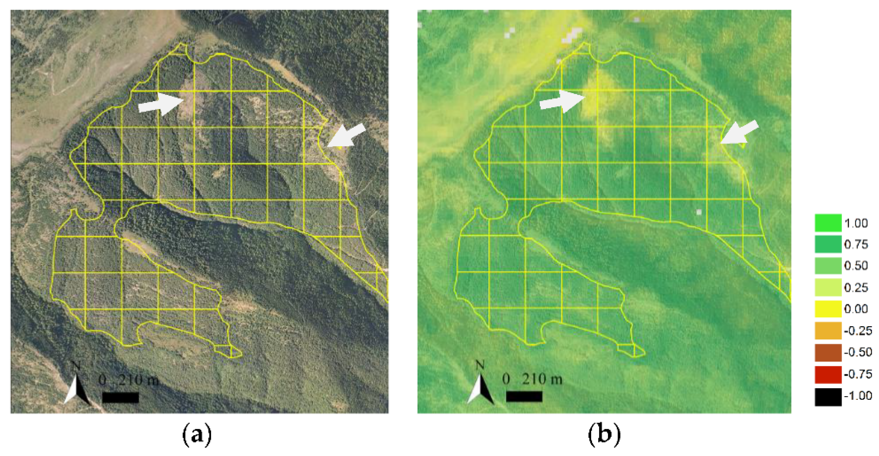 Remotesensing 13 02662 g006