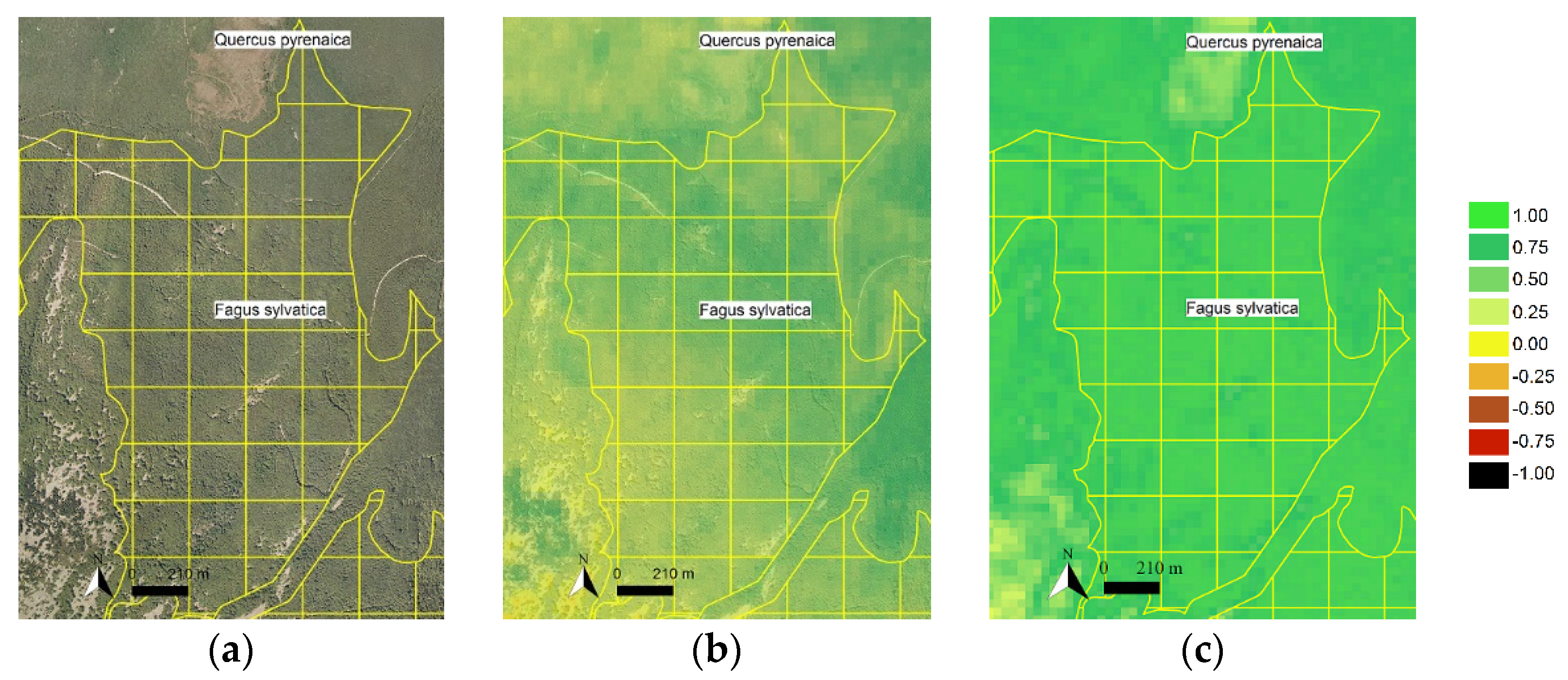 Remotesensing 13 02662 g007