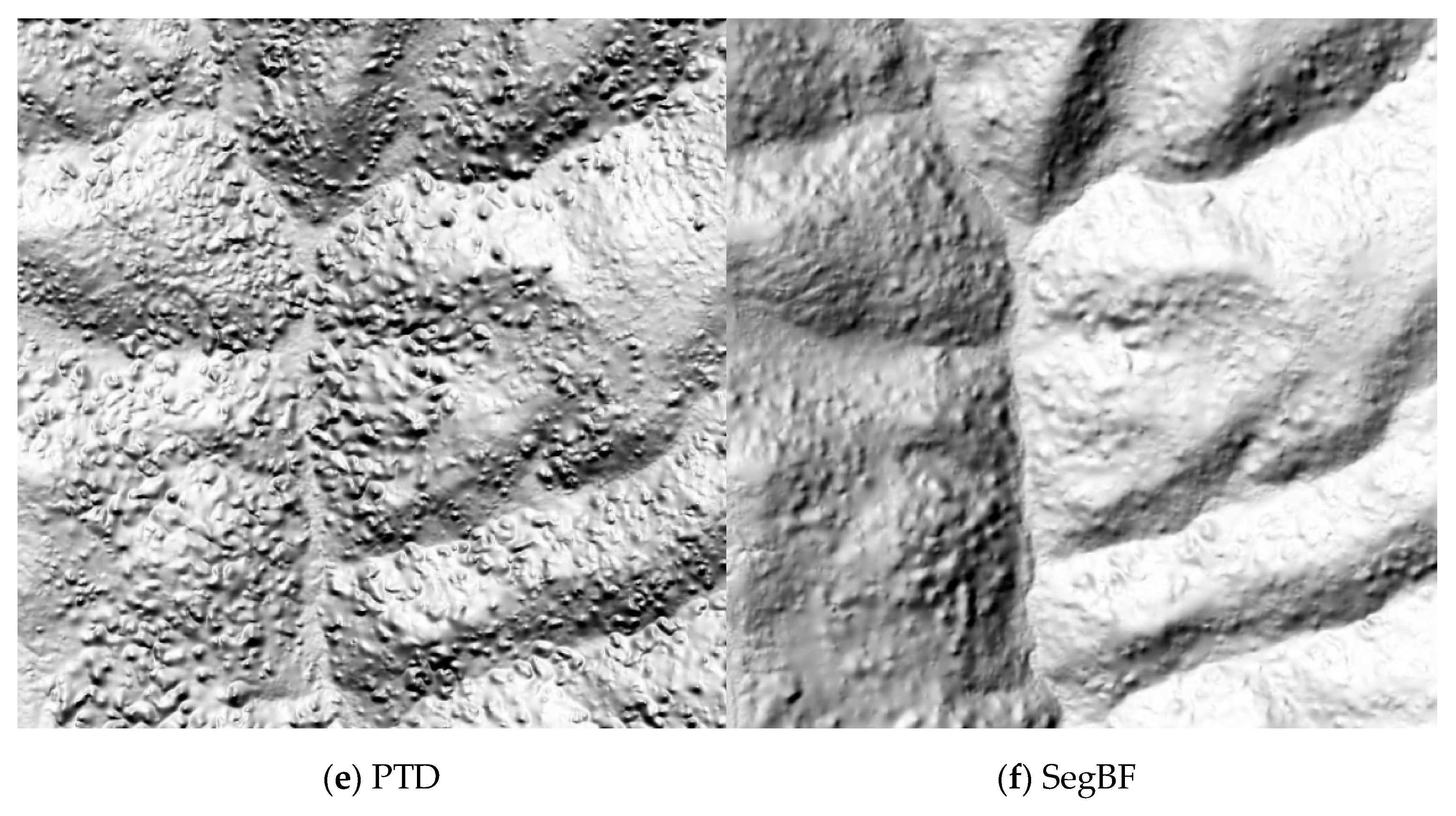 Remotesensing 13 02663 g012b