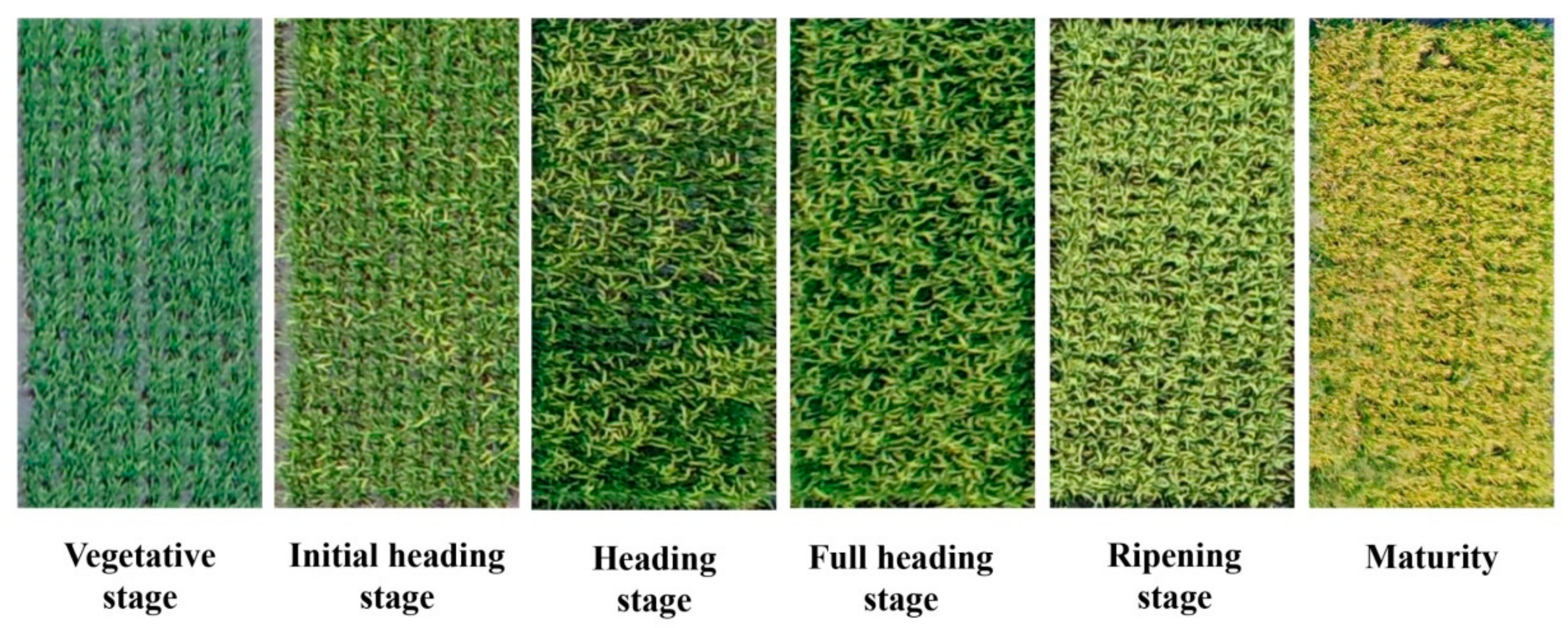 Remotesensing 13 02678 g002