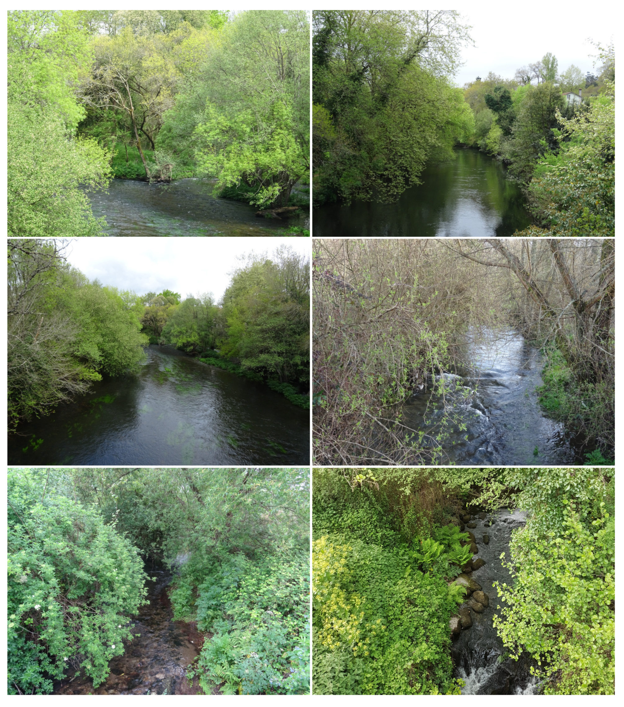 Remotesensing 13 02687 g001