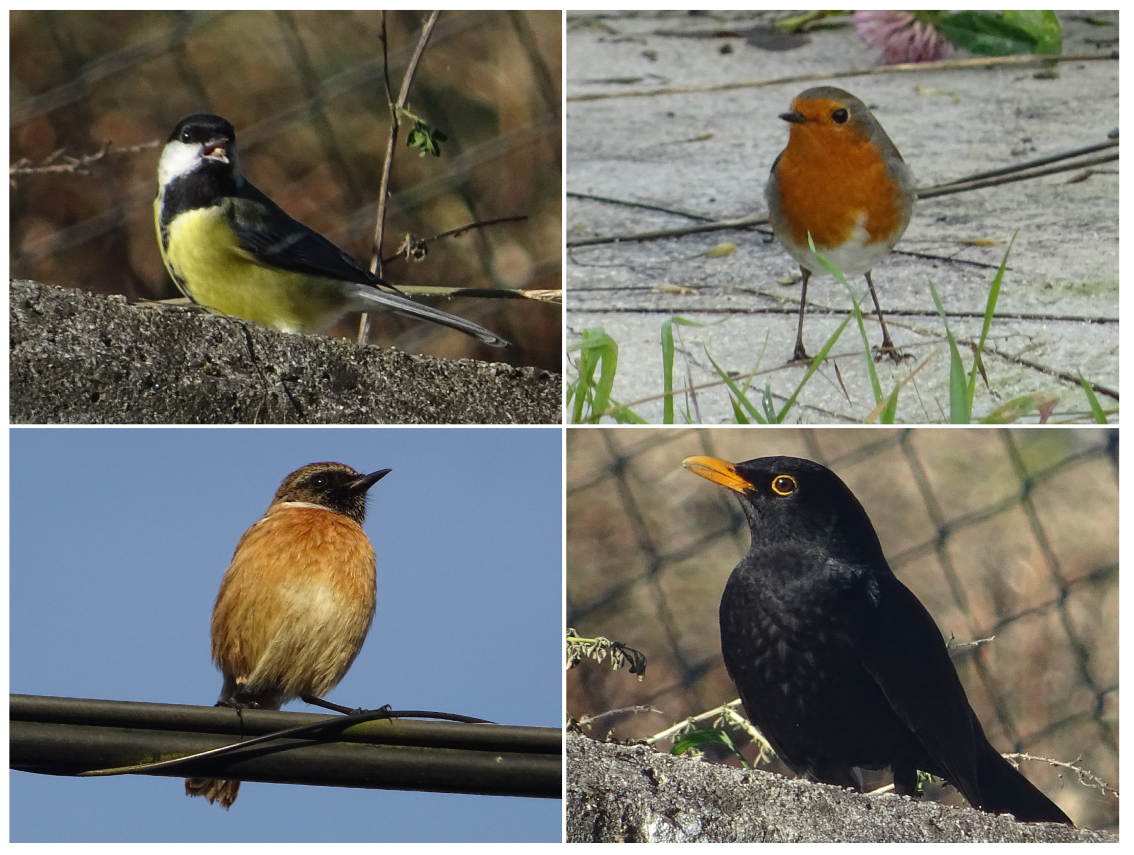 Remotesensing 13 02687 g002