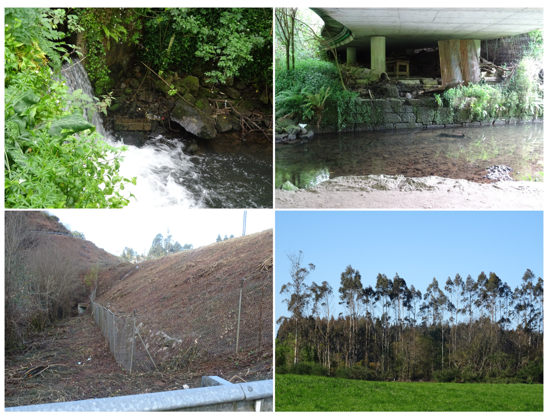 Remotesensing 13 02687 g003