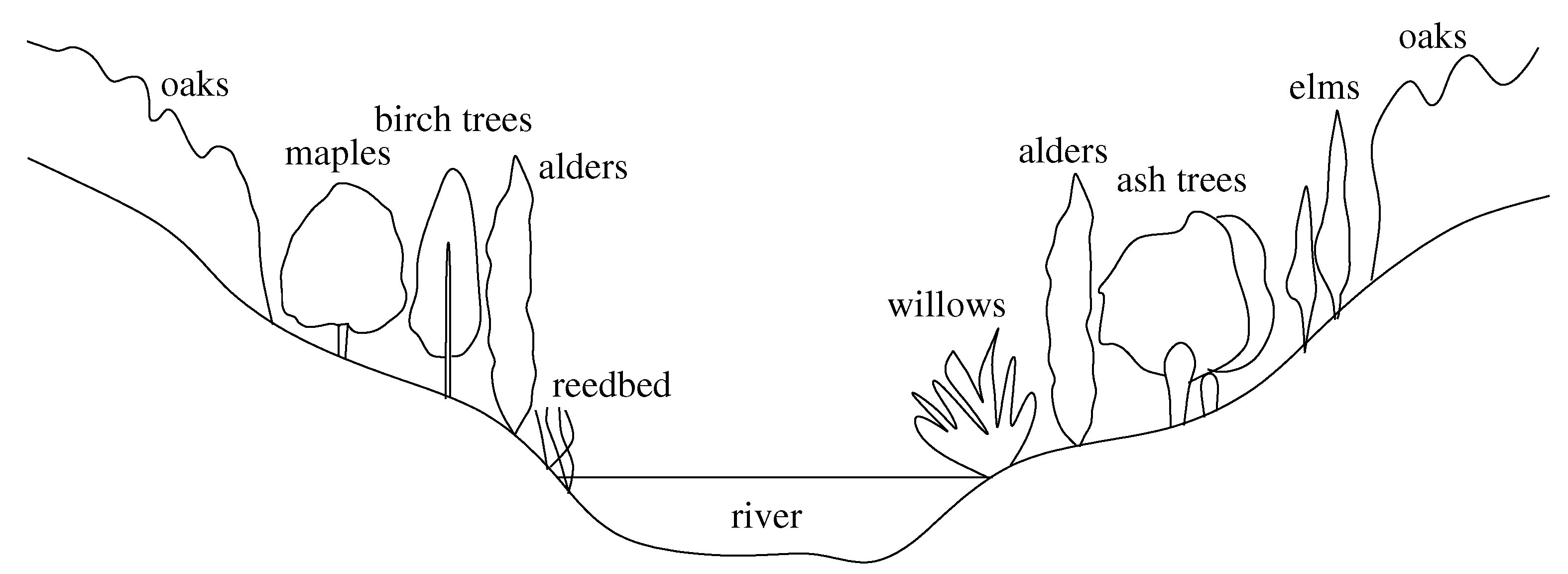 Remotesensing 13 02687 g006