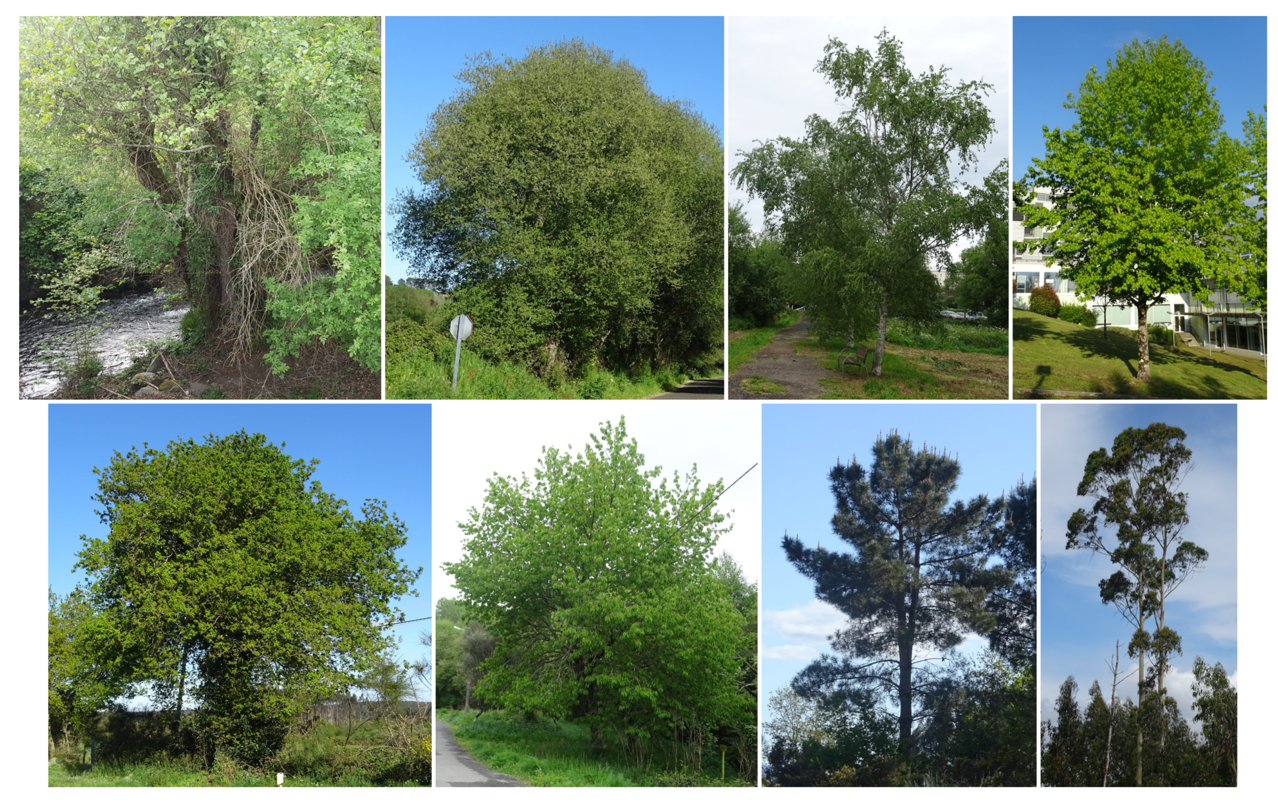 Remotesensing 13 02687 g007