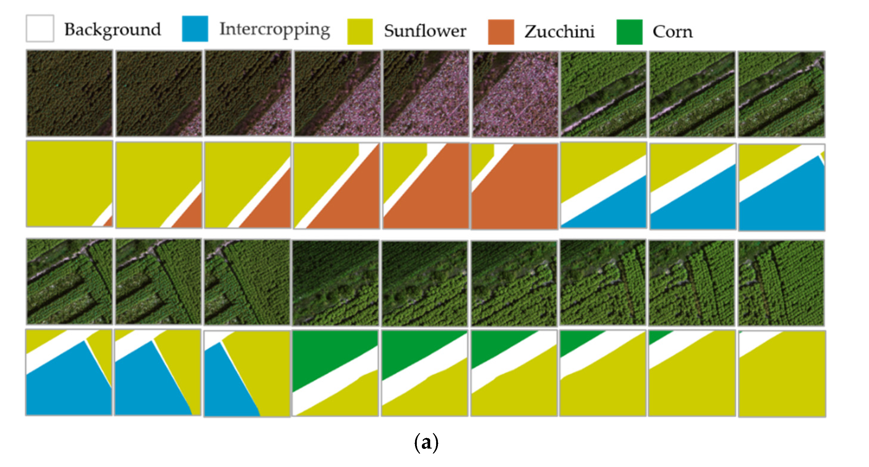 Remotesensing 13 02706 g005a