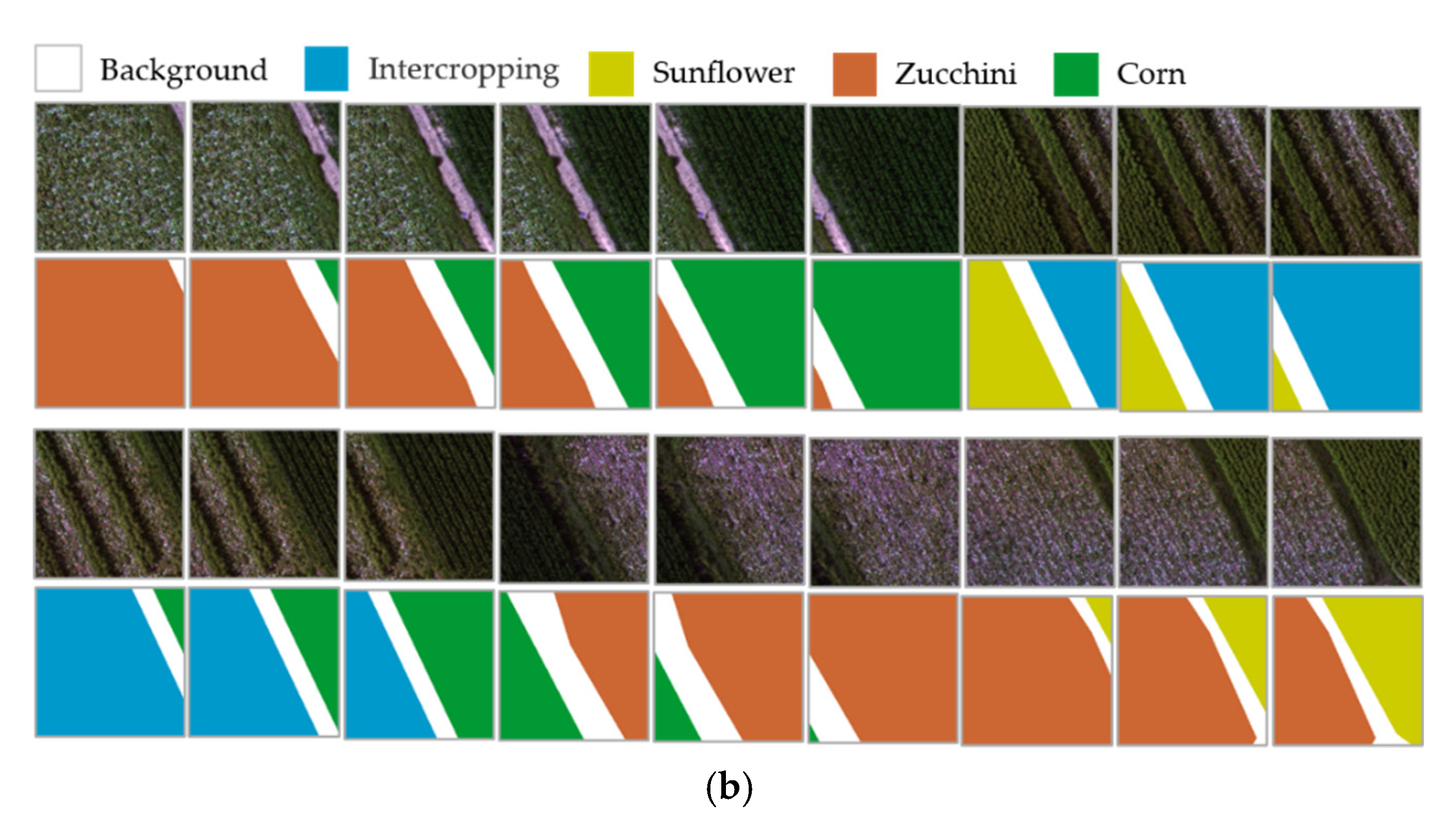Remotesensing 13 02706 g005b