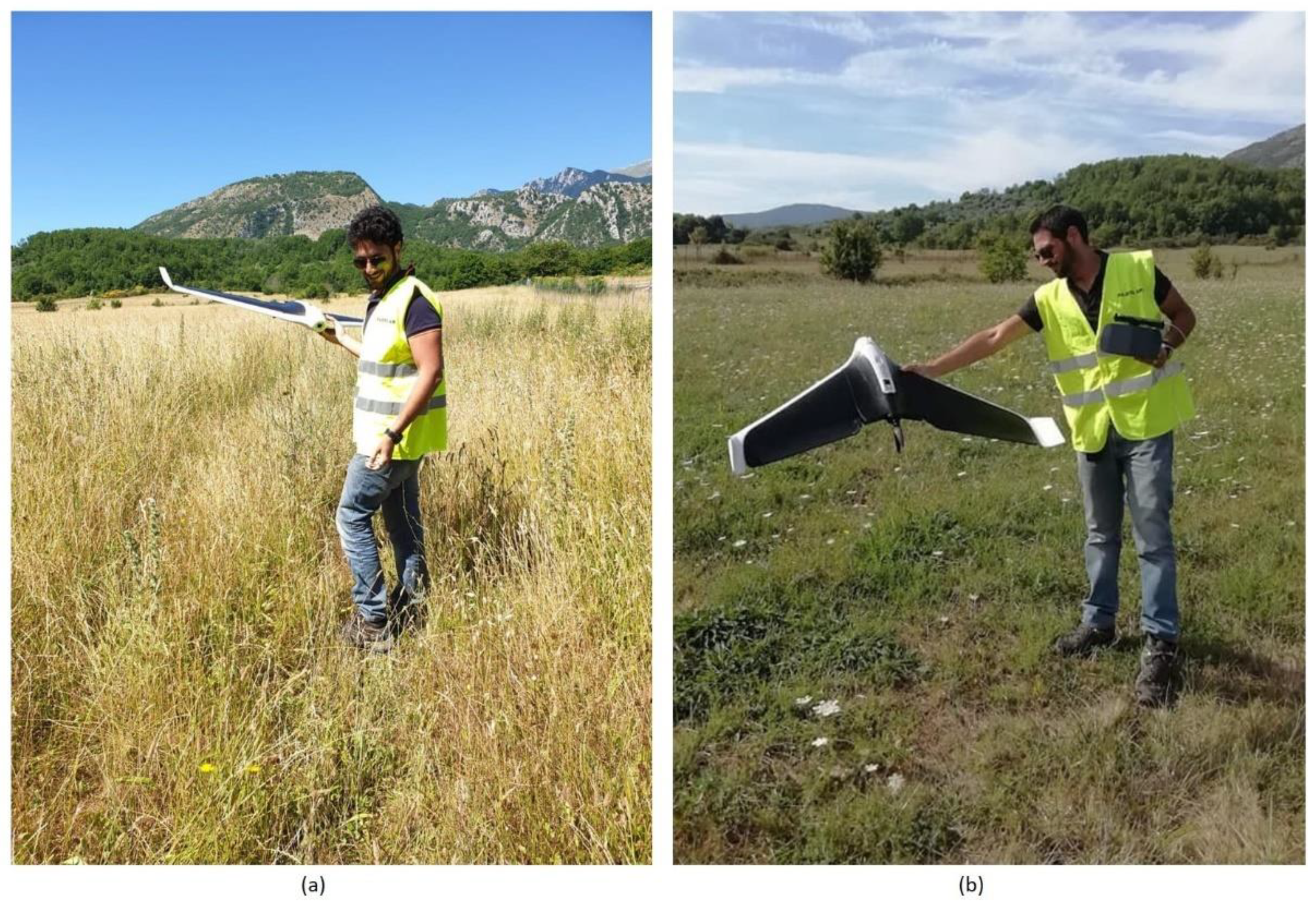 Remotesensing 13 02719 g004