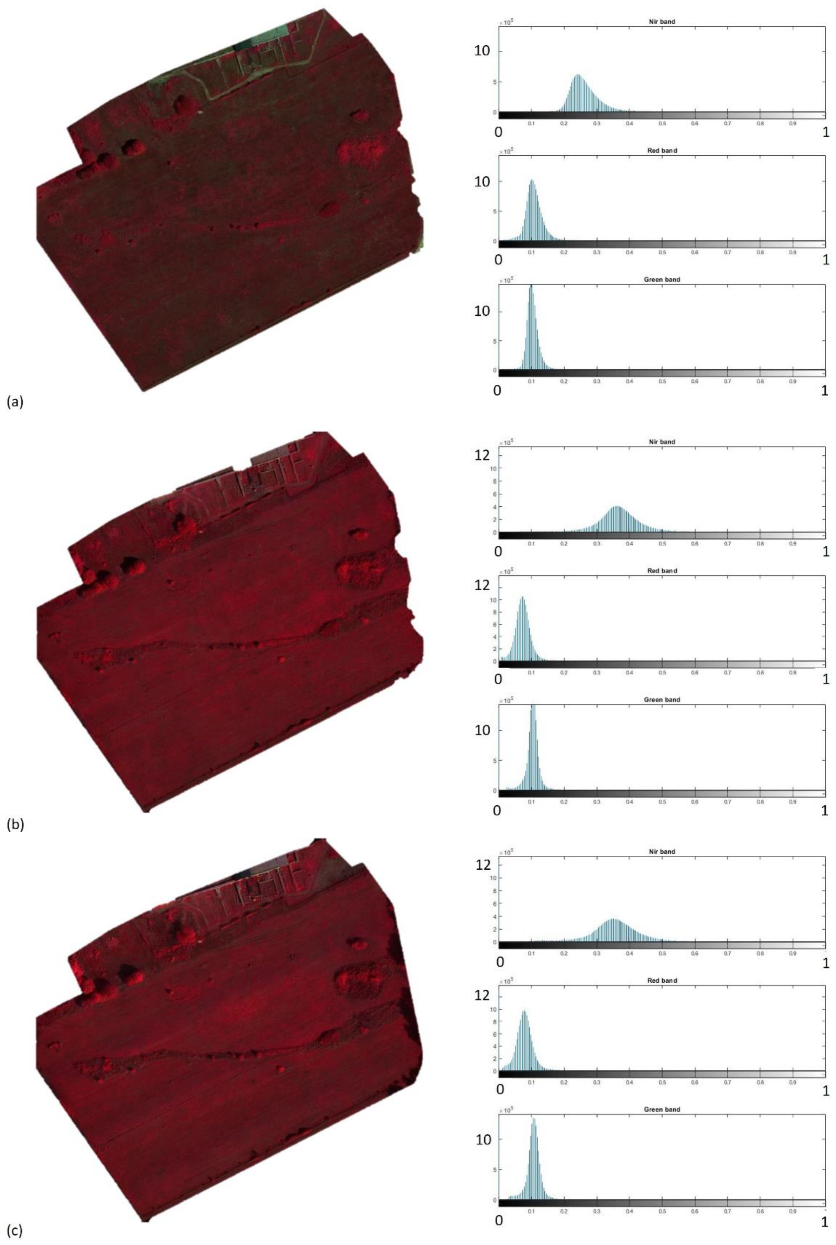 Remotesensing 13 02719 g006