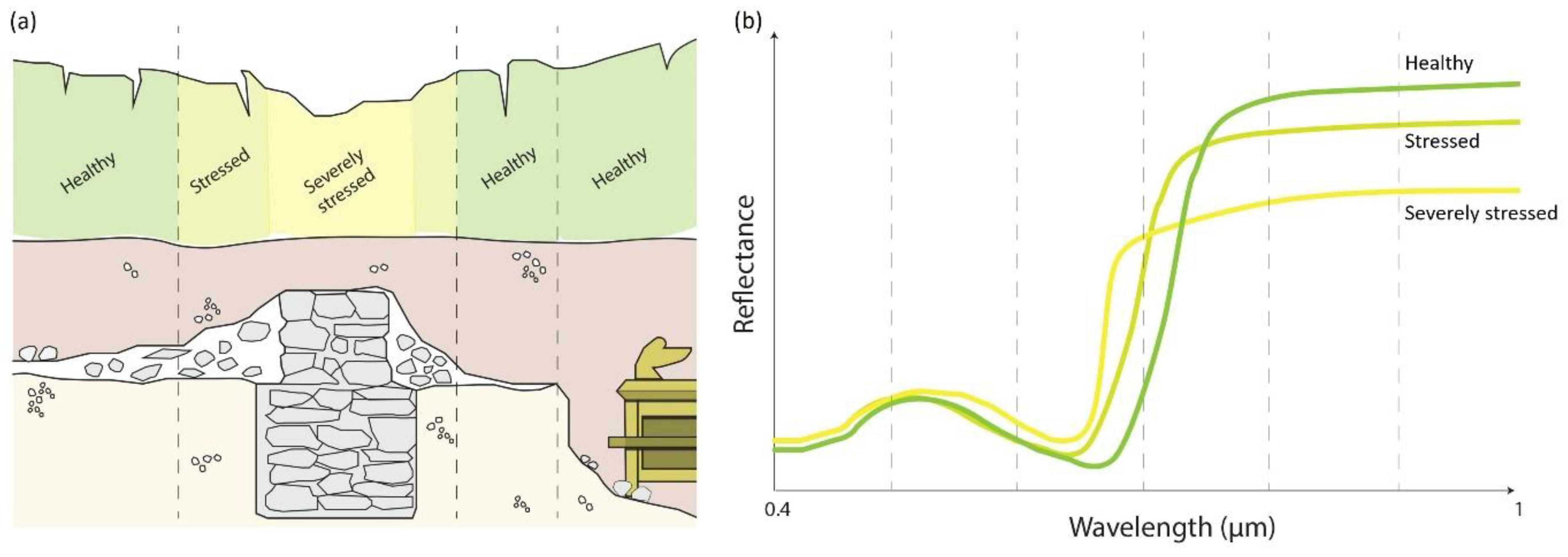 Remotesensing 13 02719 g009