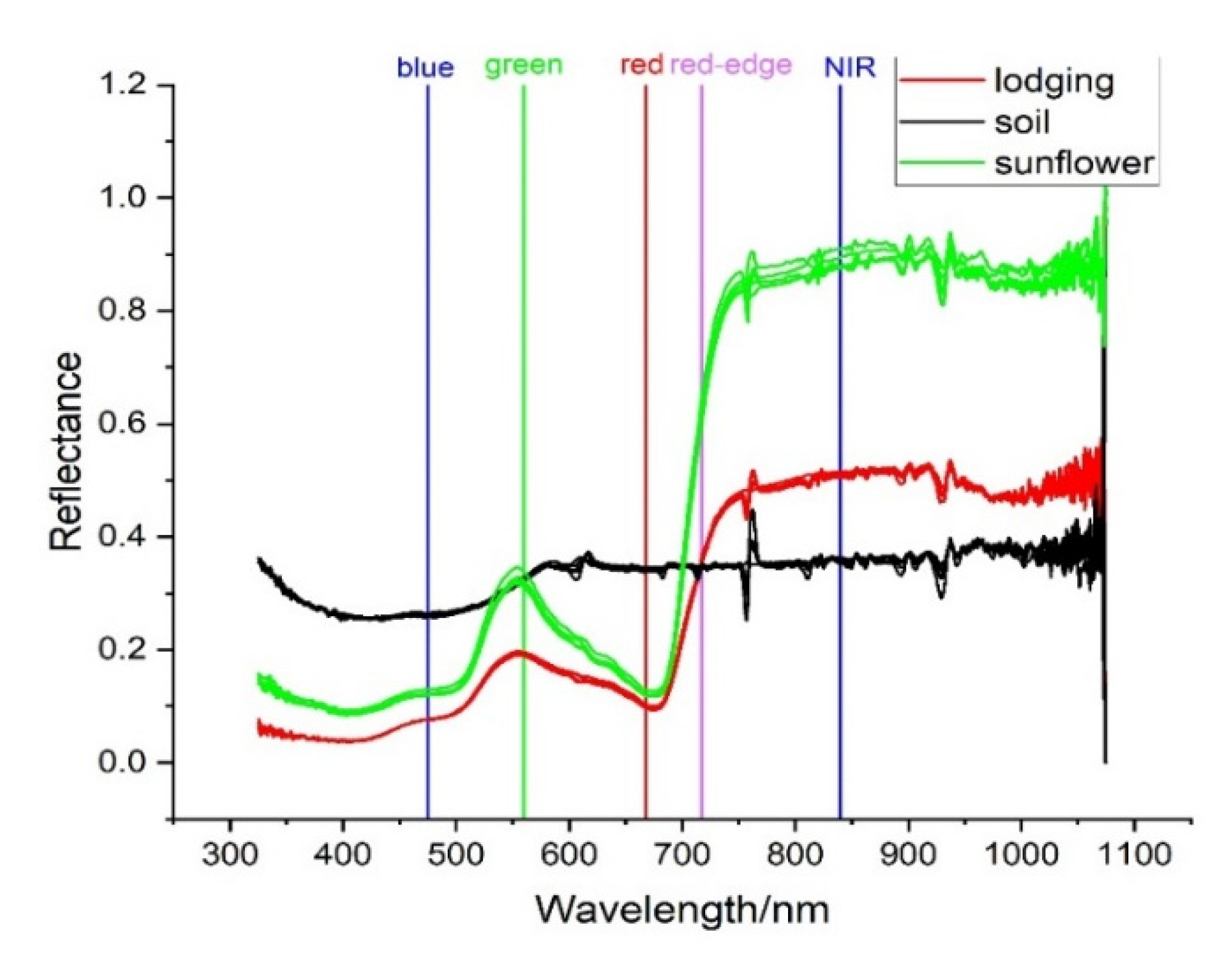 Remotesensing 13 02721 g011