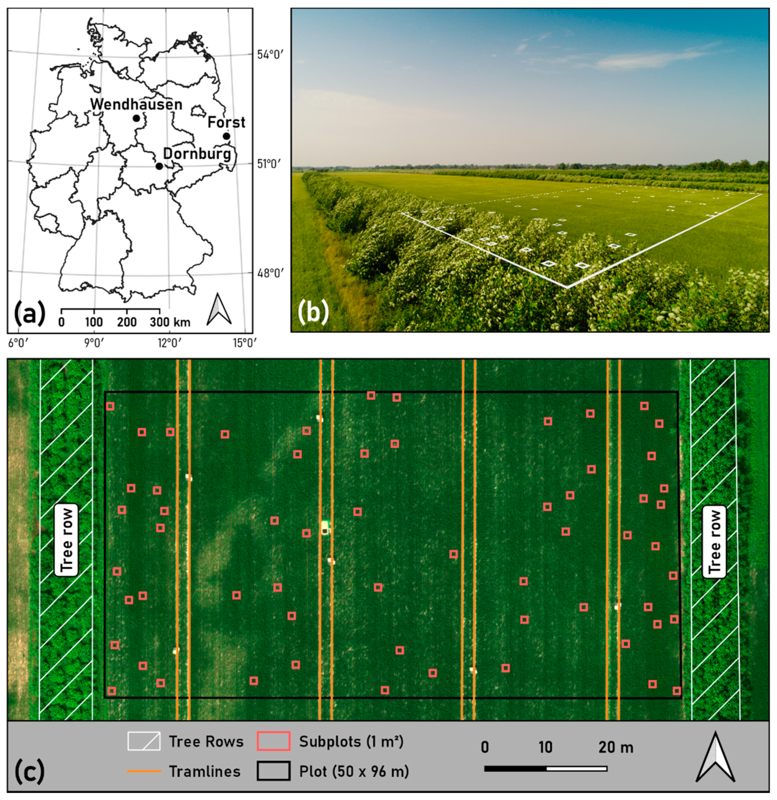 Remotesensing 13 02751 g001
