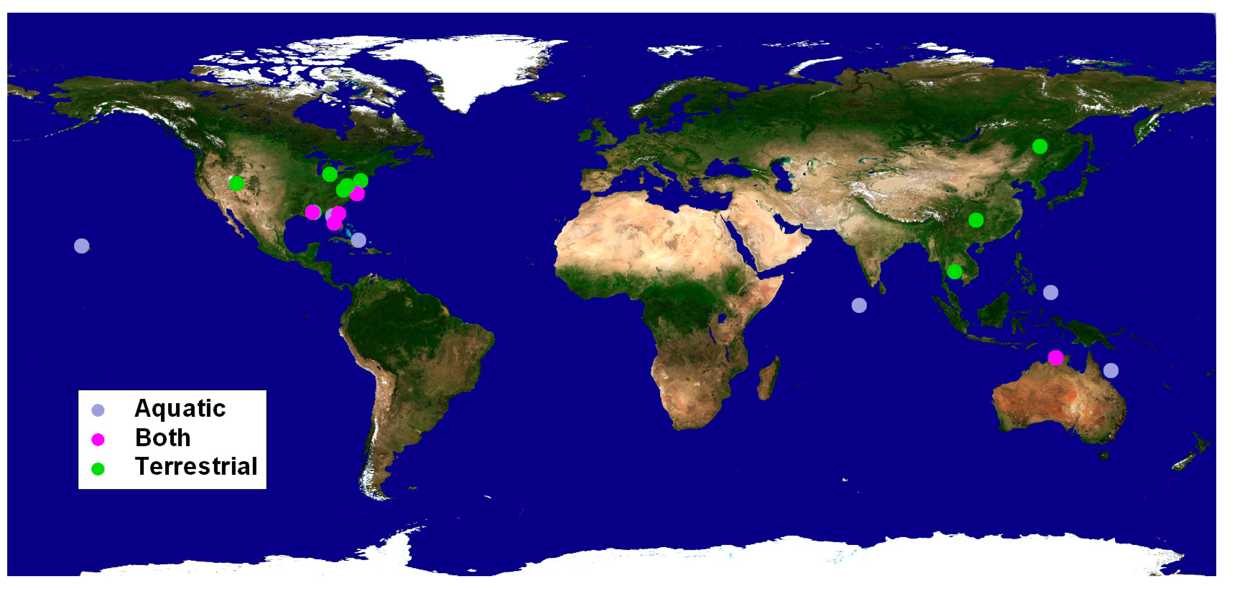 Remotesensing 13 02762 g001